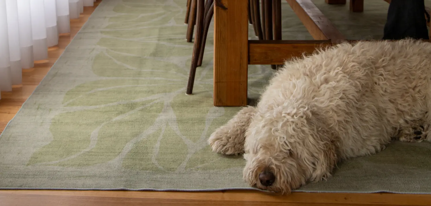 Beautiful Rugs for Real Life