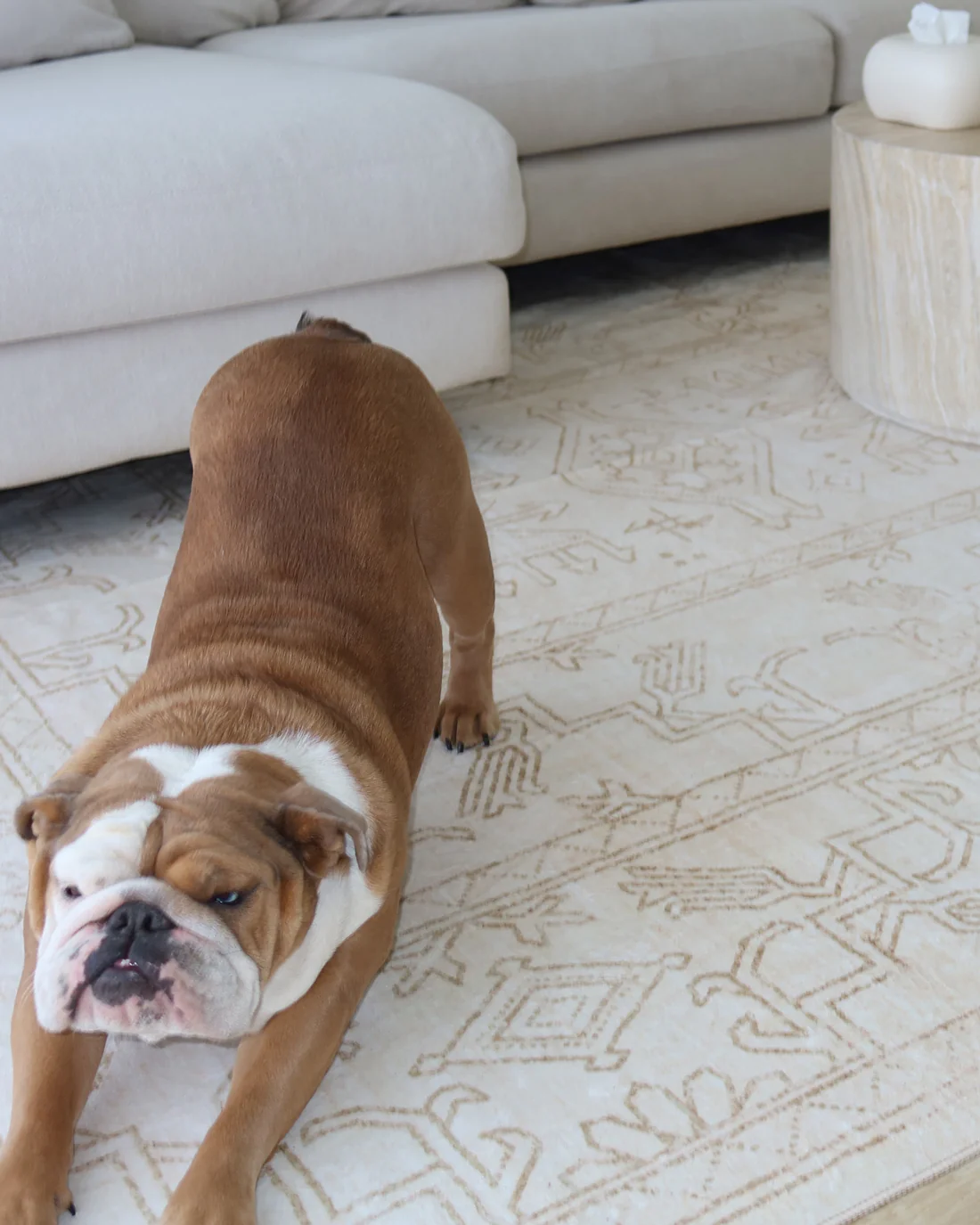Anais Cream Medallion Washable Rug - Image 3