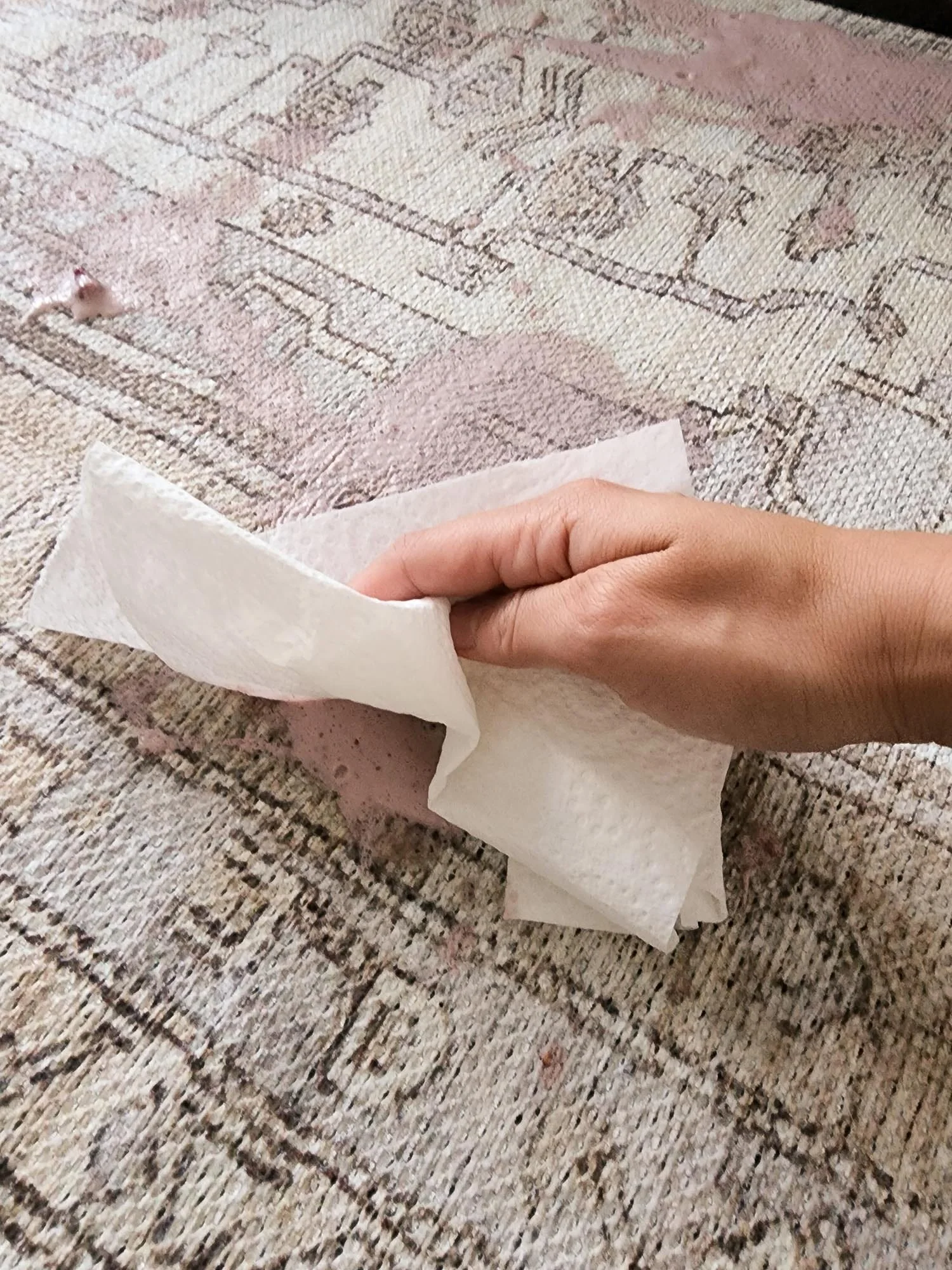 Aneesa Beige and Cream Traditional Distressed Washable Rug - Image 8