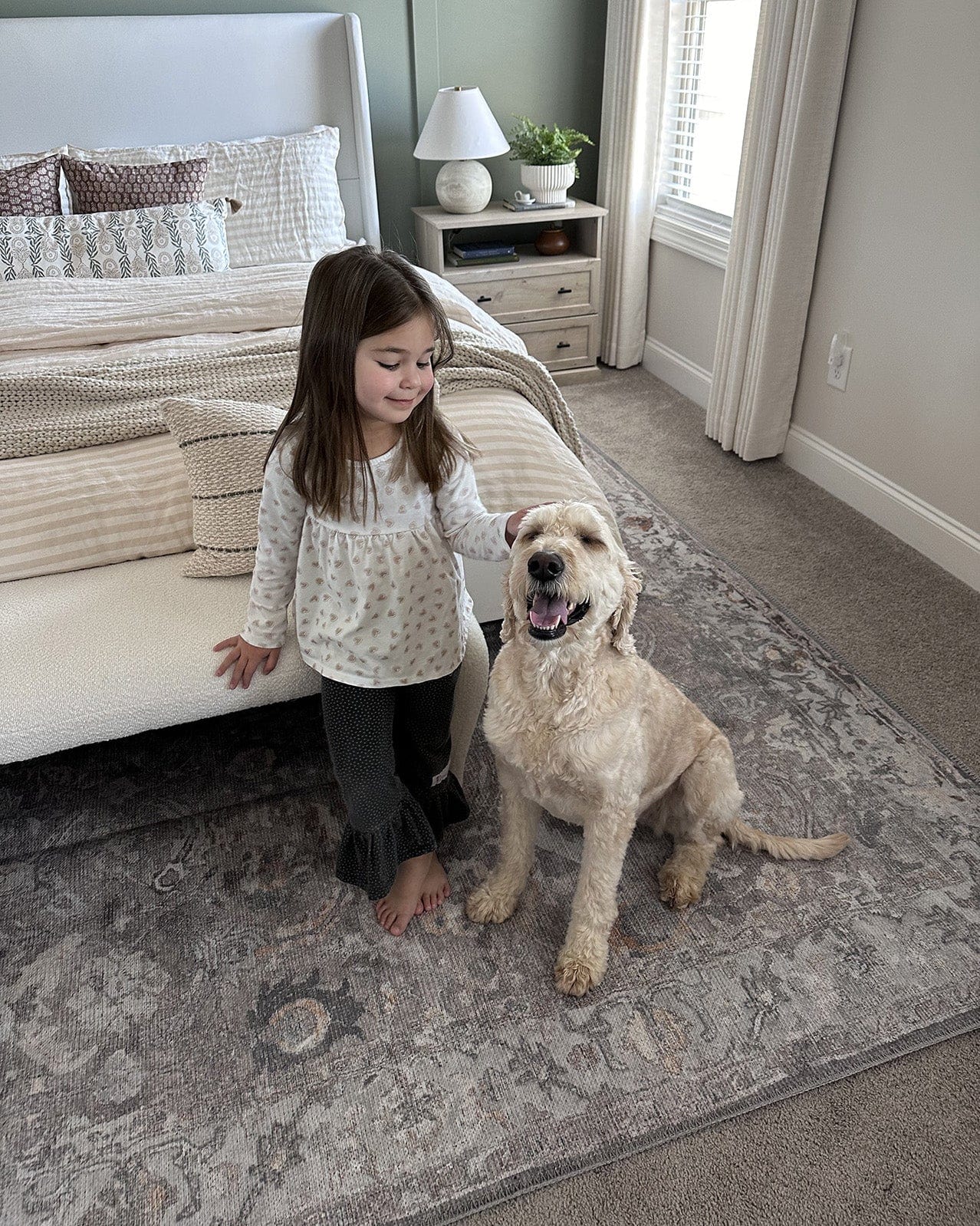Ava Grey and Gold Traditional Distressed Washable Rug - Image 3