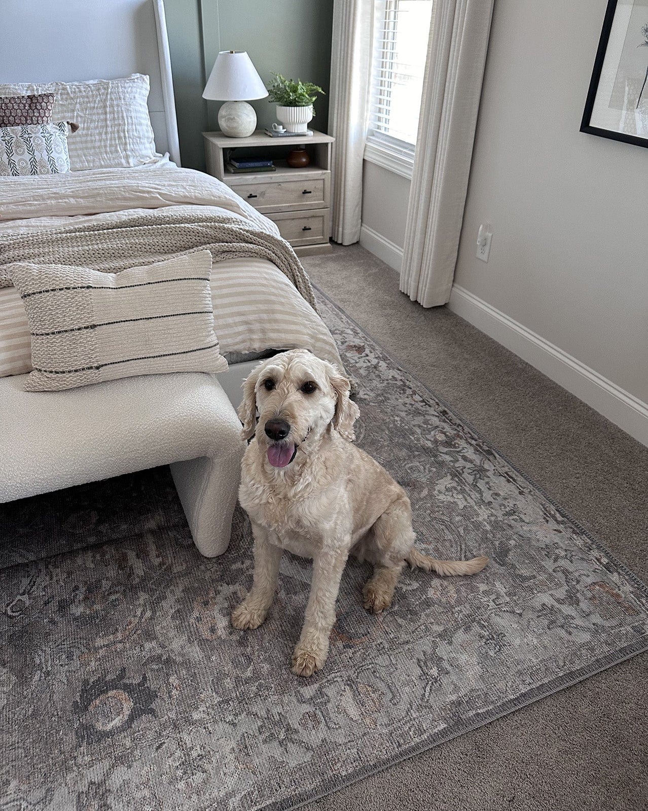 Ava Grey and Gold Traditional Distressed Washable Rug - Image 4