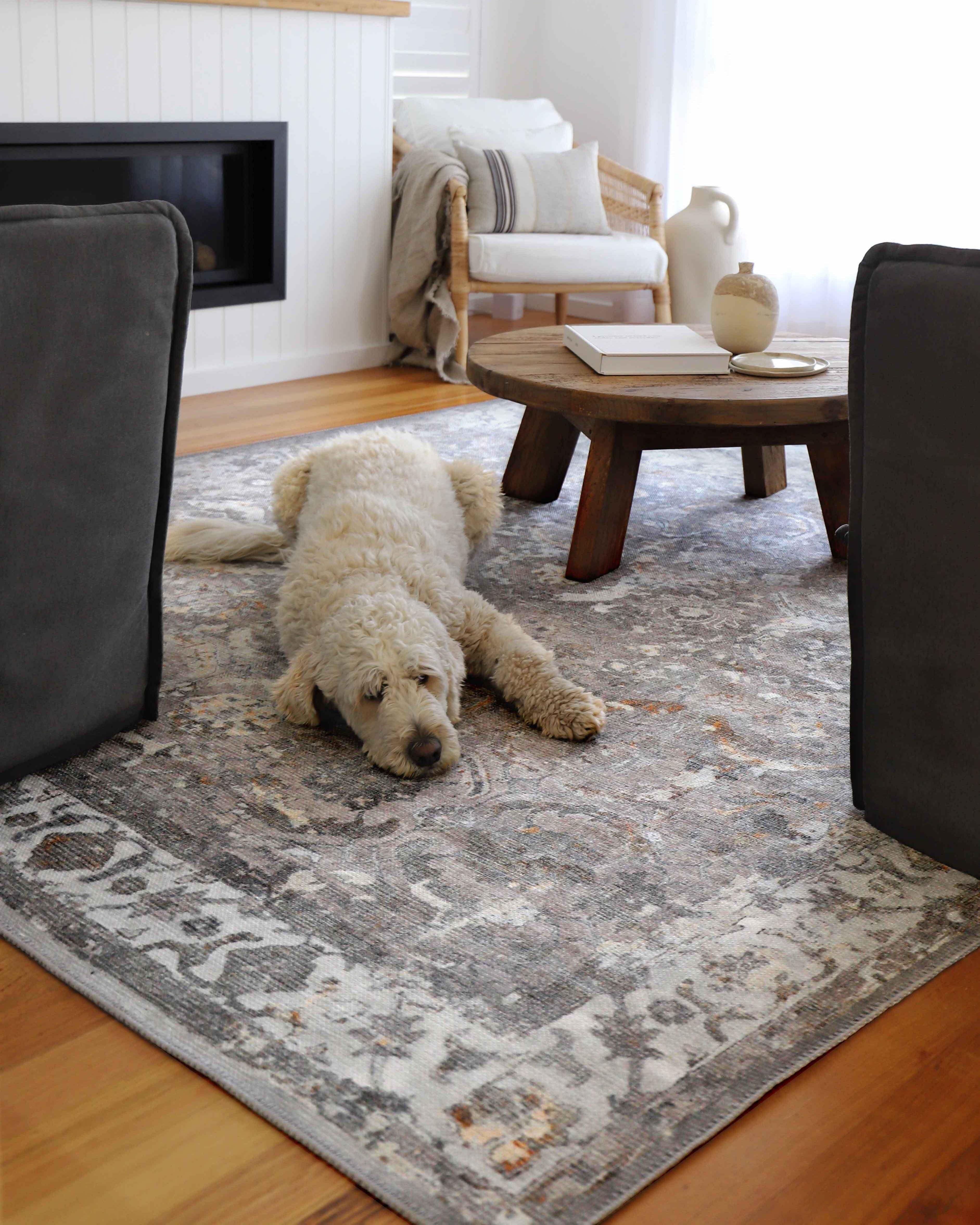 Ava Grey and Gold Traditional Distressed Washable Rug - Image 8