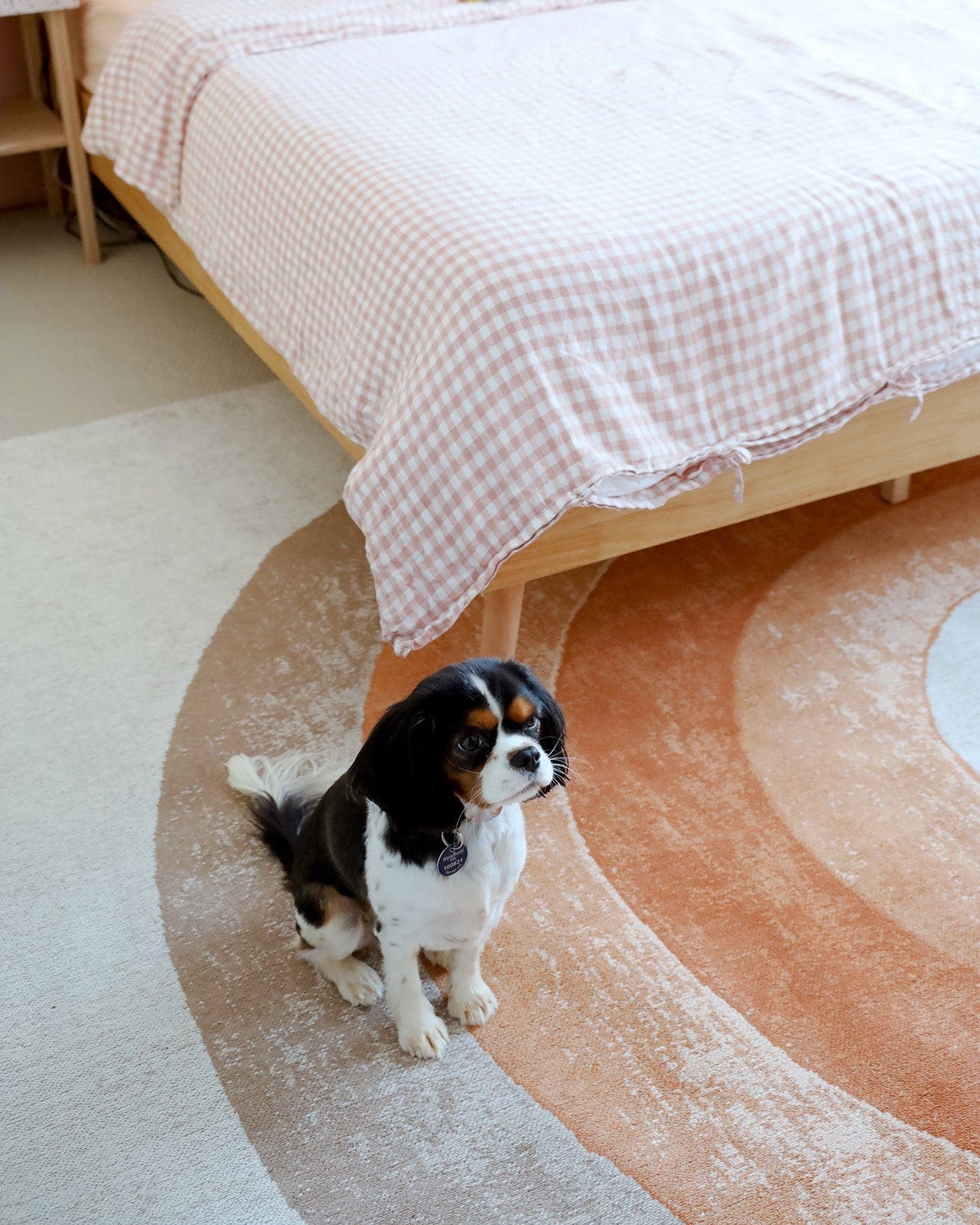 Blake Orange Rainbow Rug - Image 4
