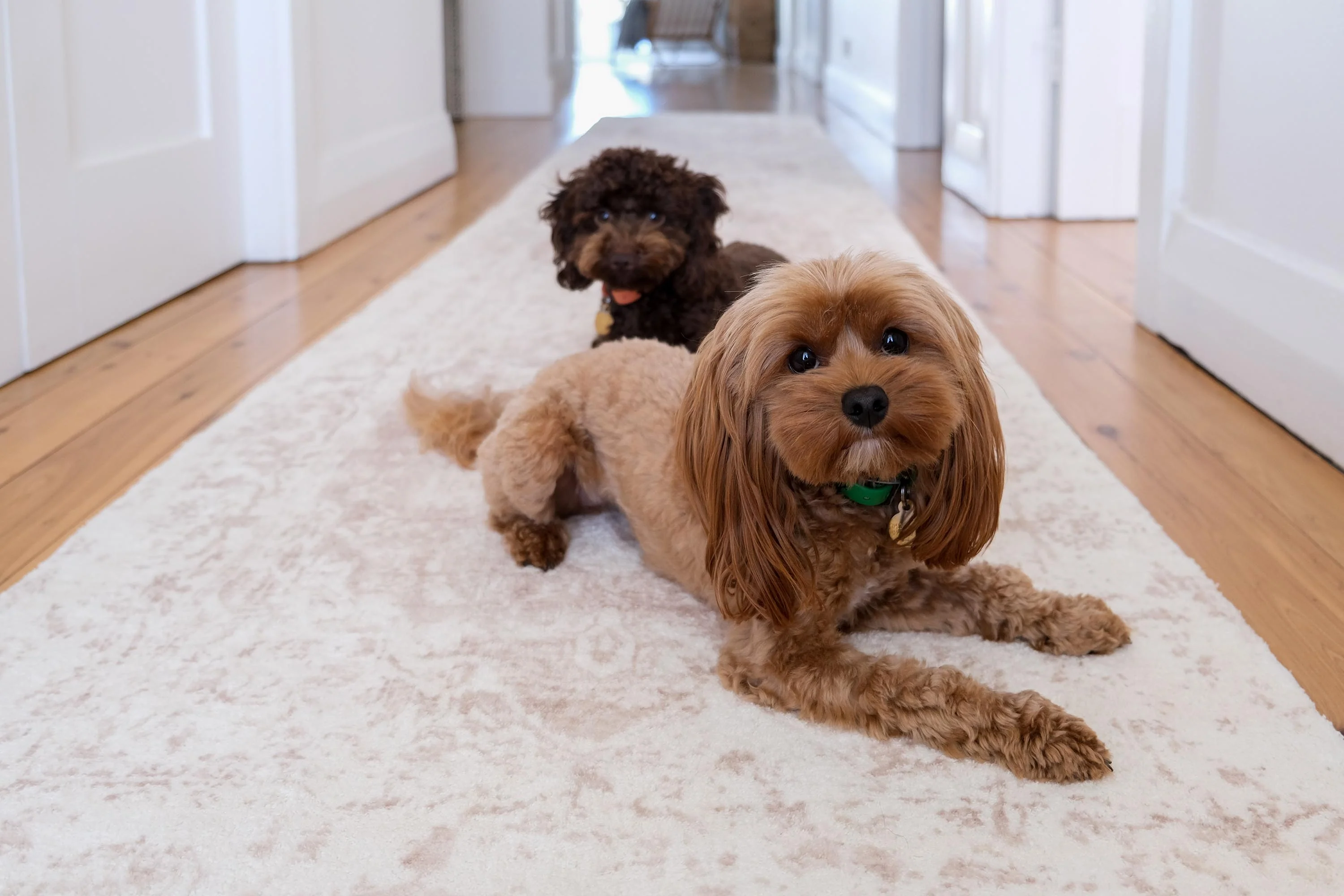 Cabanela Cream and Beige Distressed Washable Runner Rug - Image 4