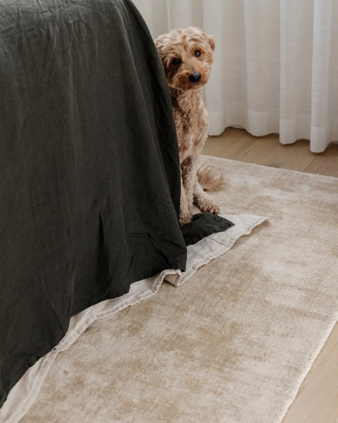 Claude Beige and Ivory Distressed Viscose Rug - Image 4