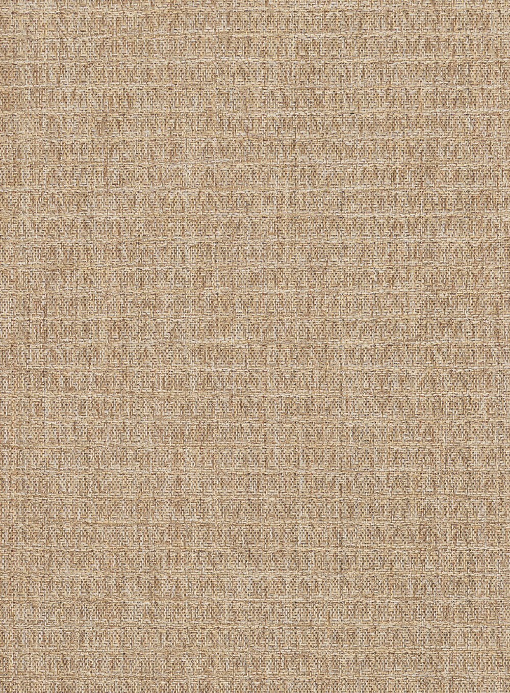 Coast Desert Beige Indoor Outdoor Rug - Image 13