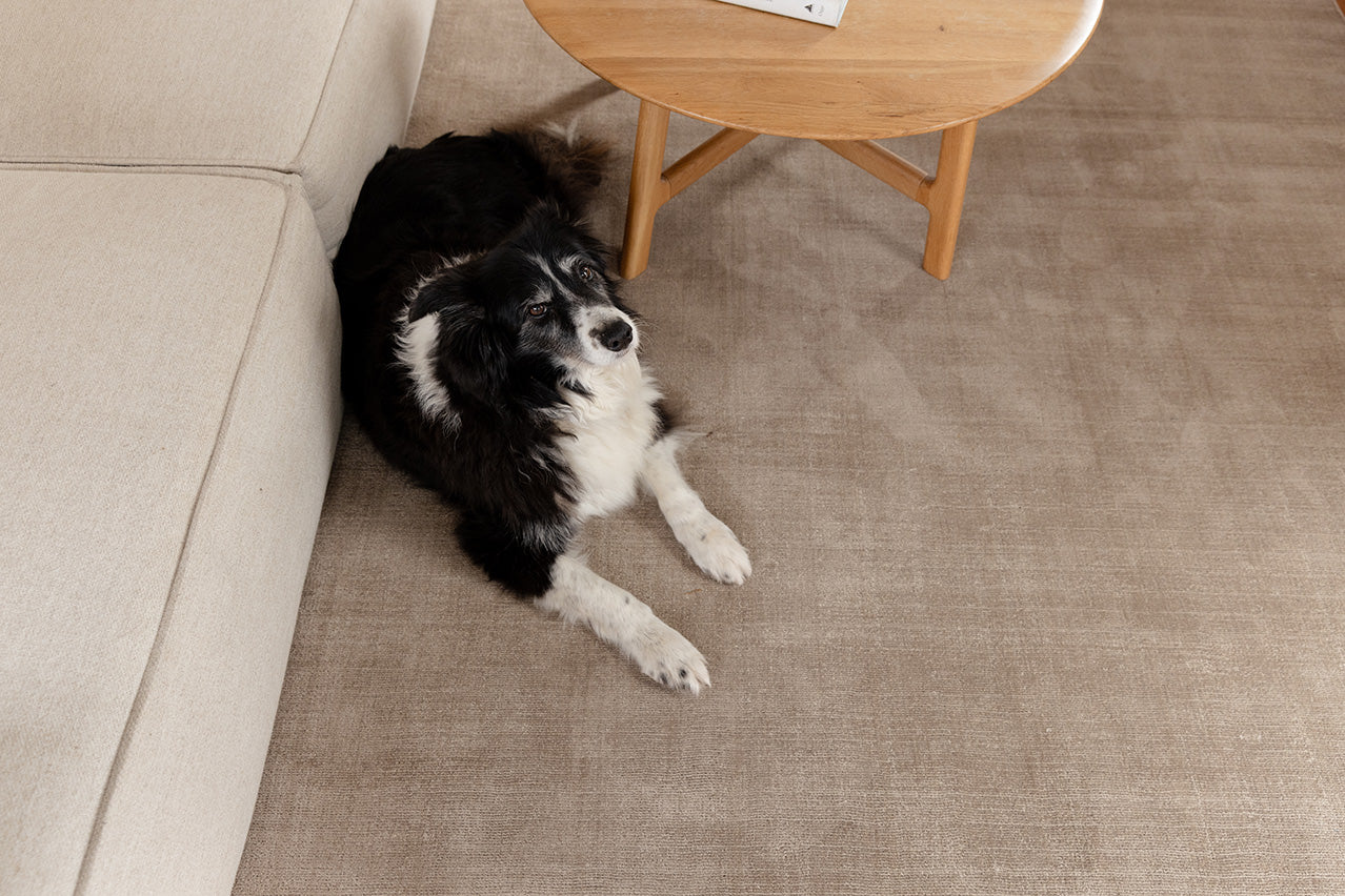 Codie Beige Handwoven Rug - Image 11