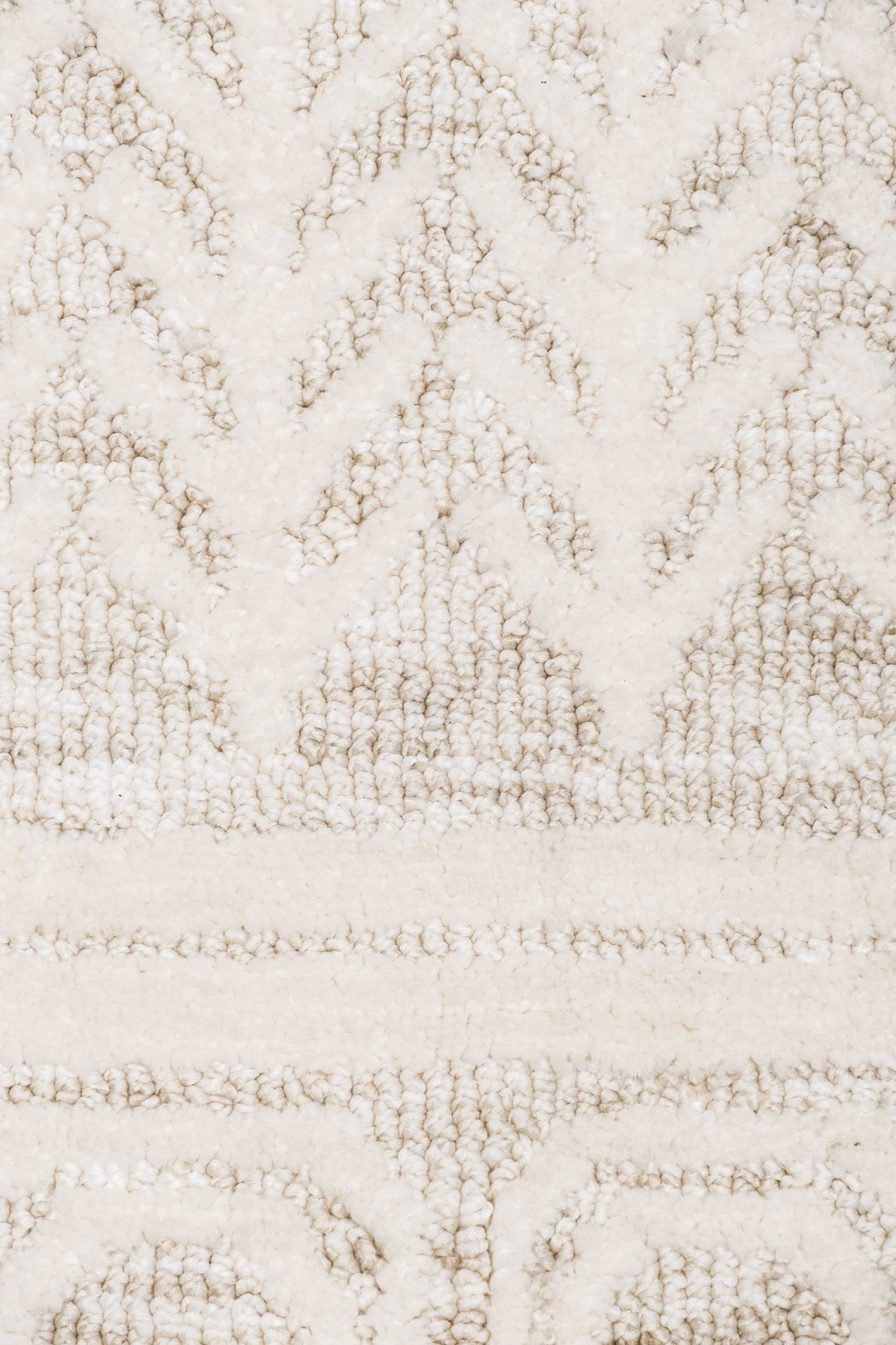 Delphine Ivory and Beige Tribal Transitional Rug - Image 20