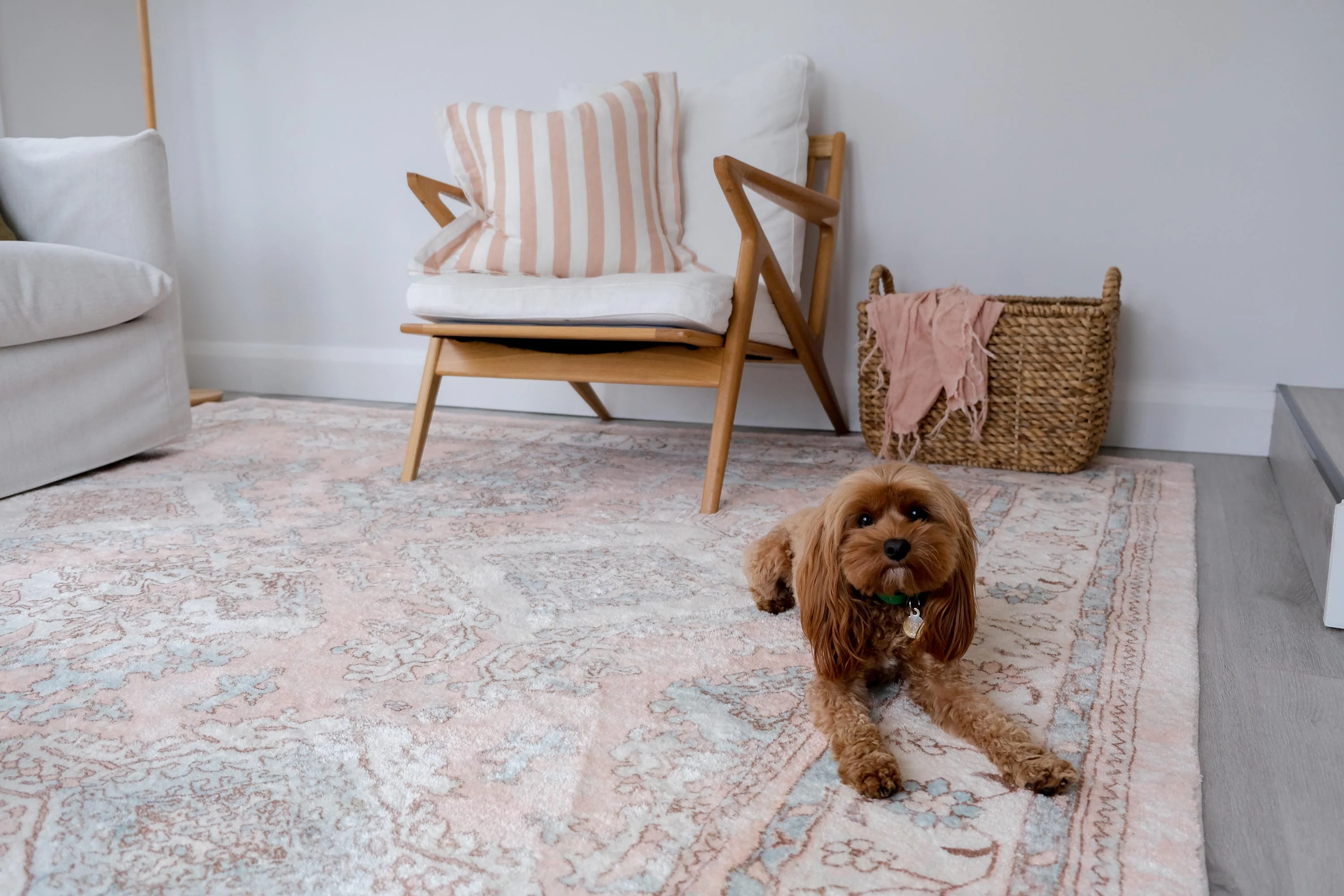 Edwina Peach and Blue Distressed Washable Rug - Image 15