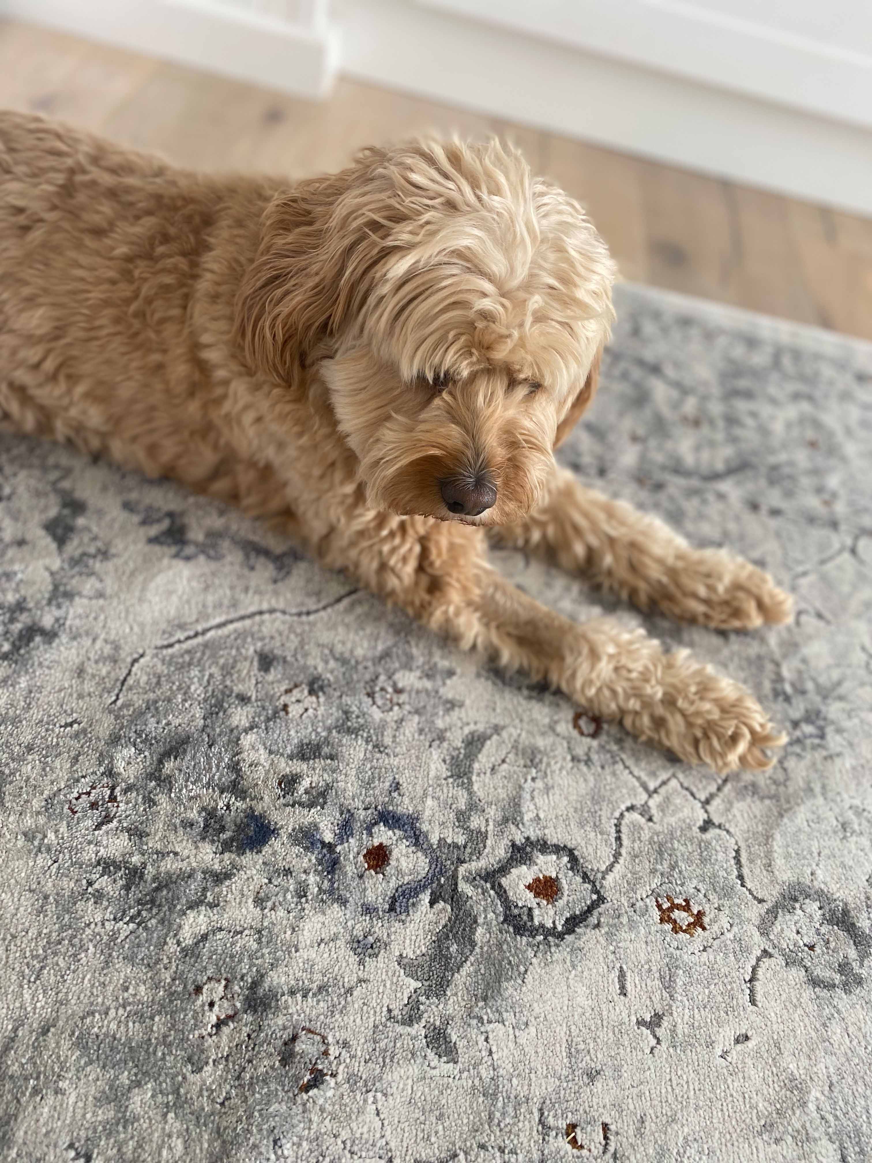 Elisha Grey and Blue Traditional Distressed Medallion Rug - Image 7