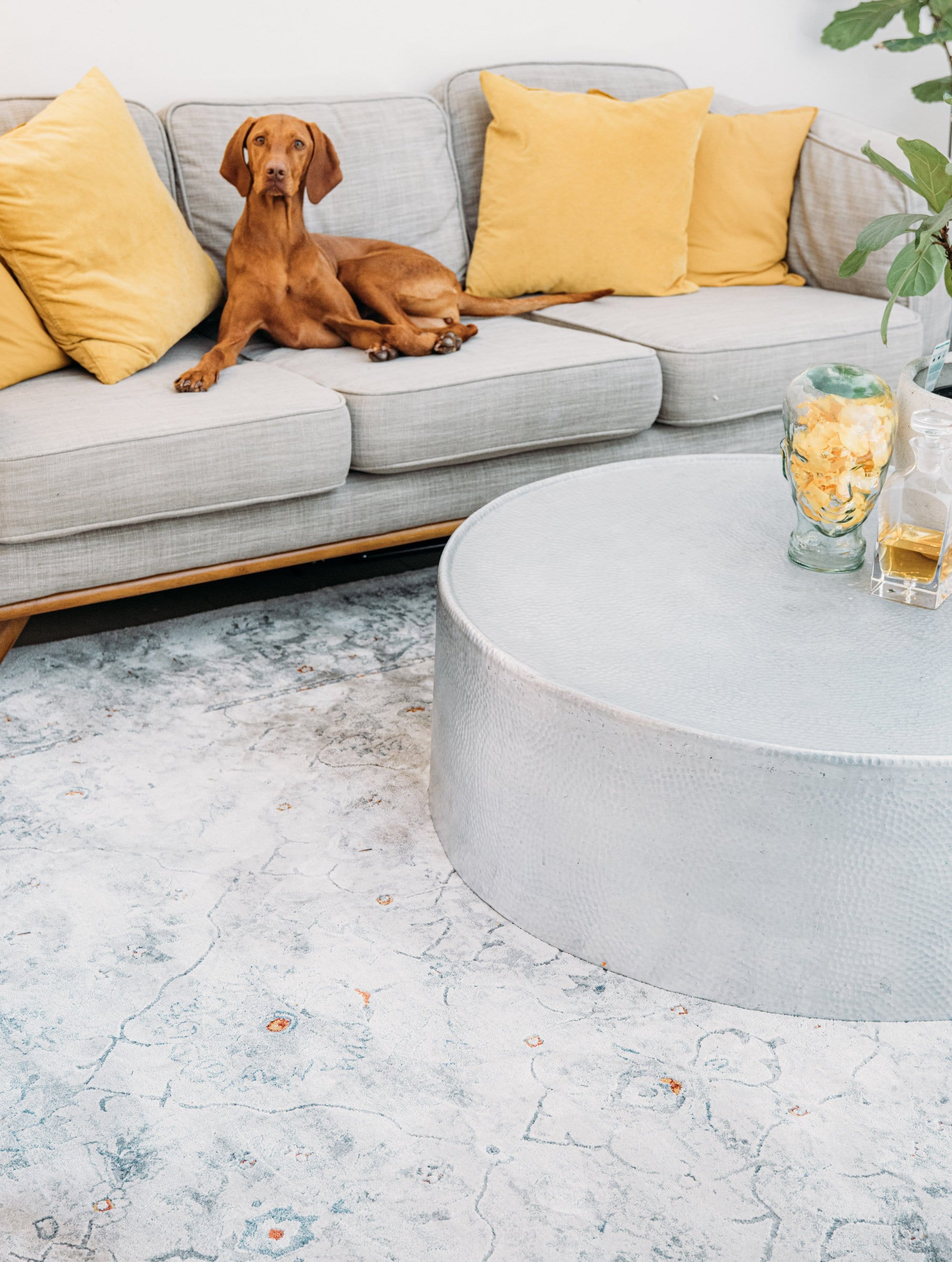 Elisha Grey and Blue Traditional Distressed Medallion Rug - Image 9