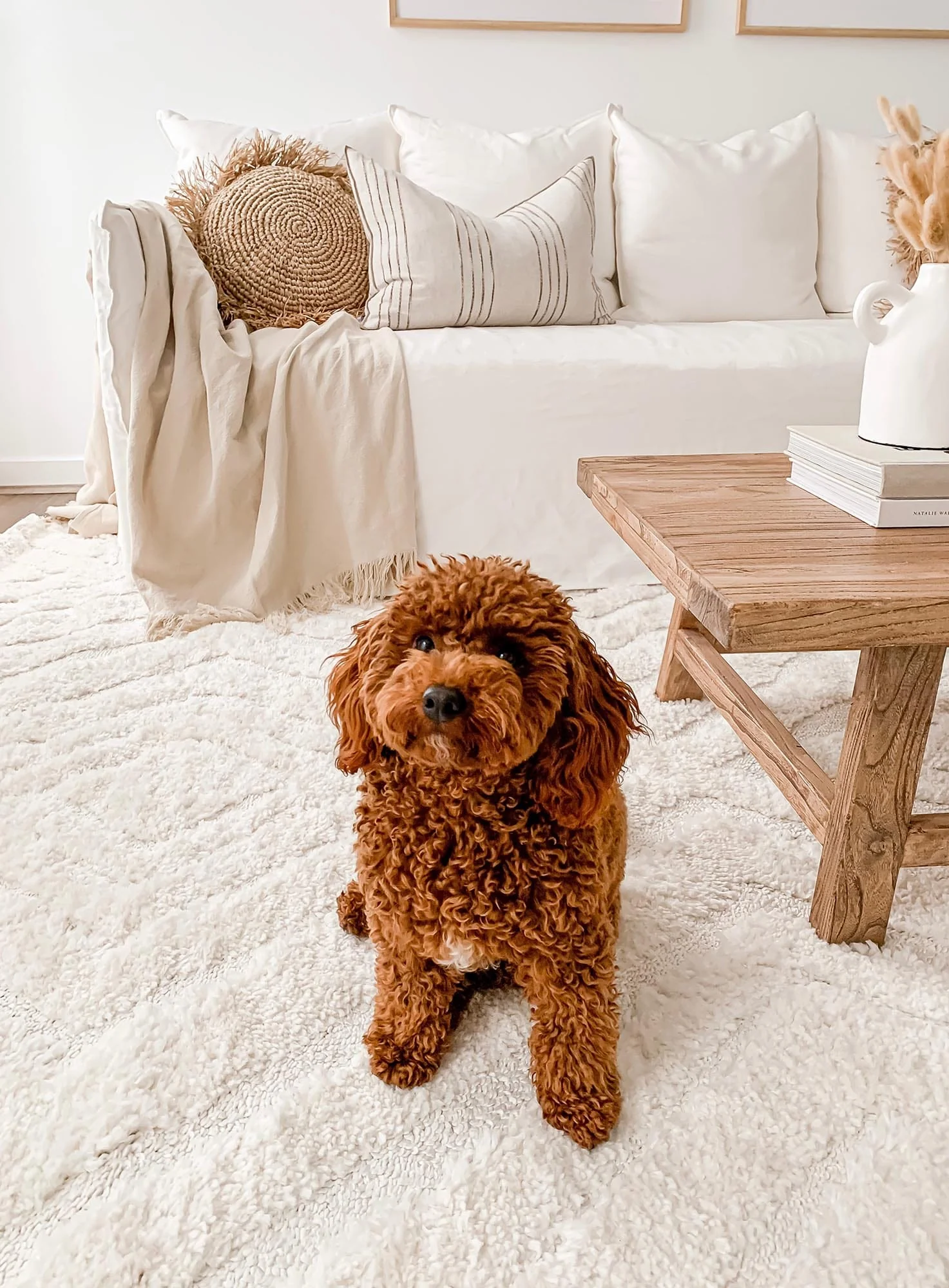 Elle Ivory Cream Diamond Tribal Textured Rug - Image 13