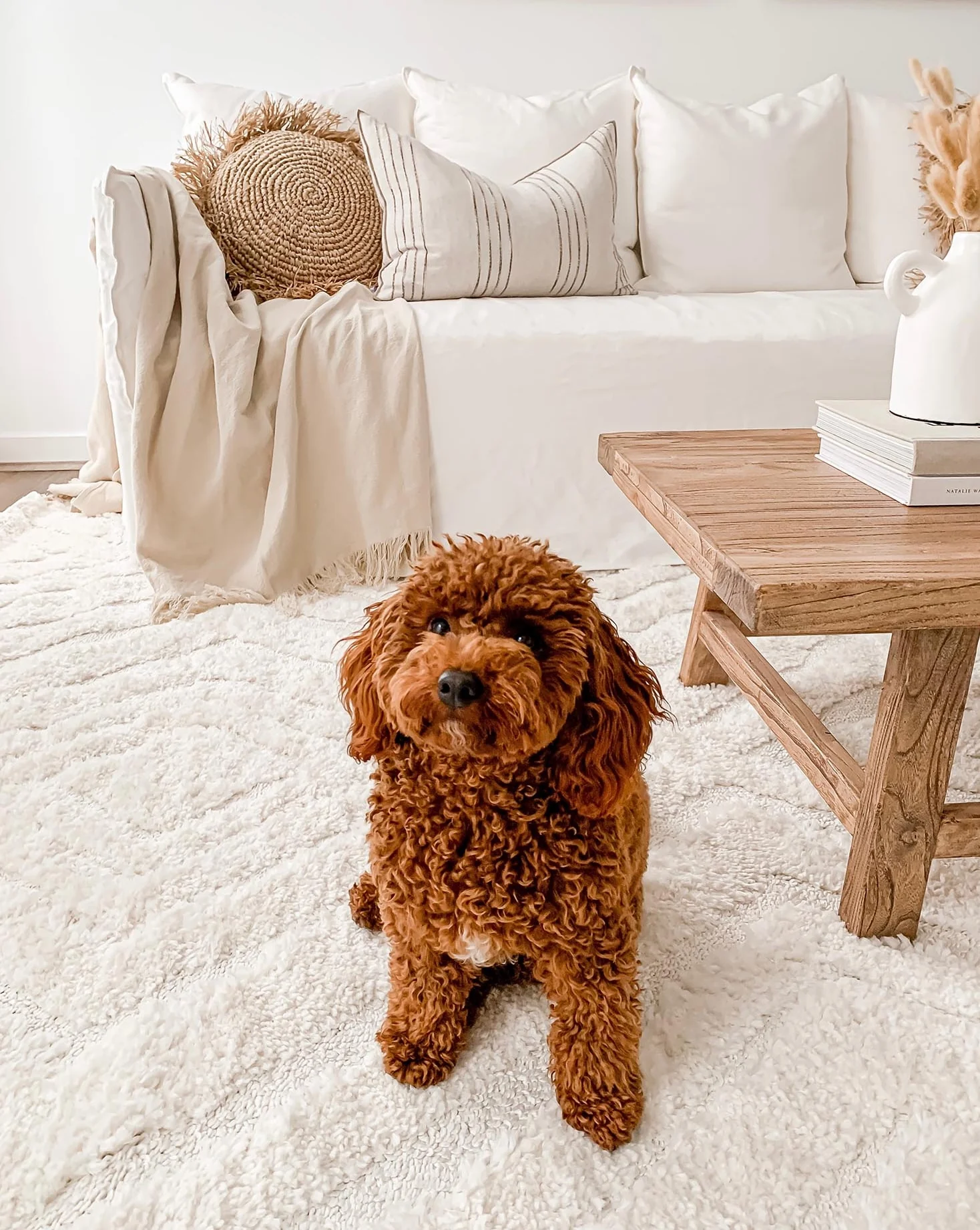 Elmira Ivory Cream Diamond Tribal Rug - Image 3