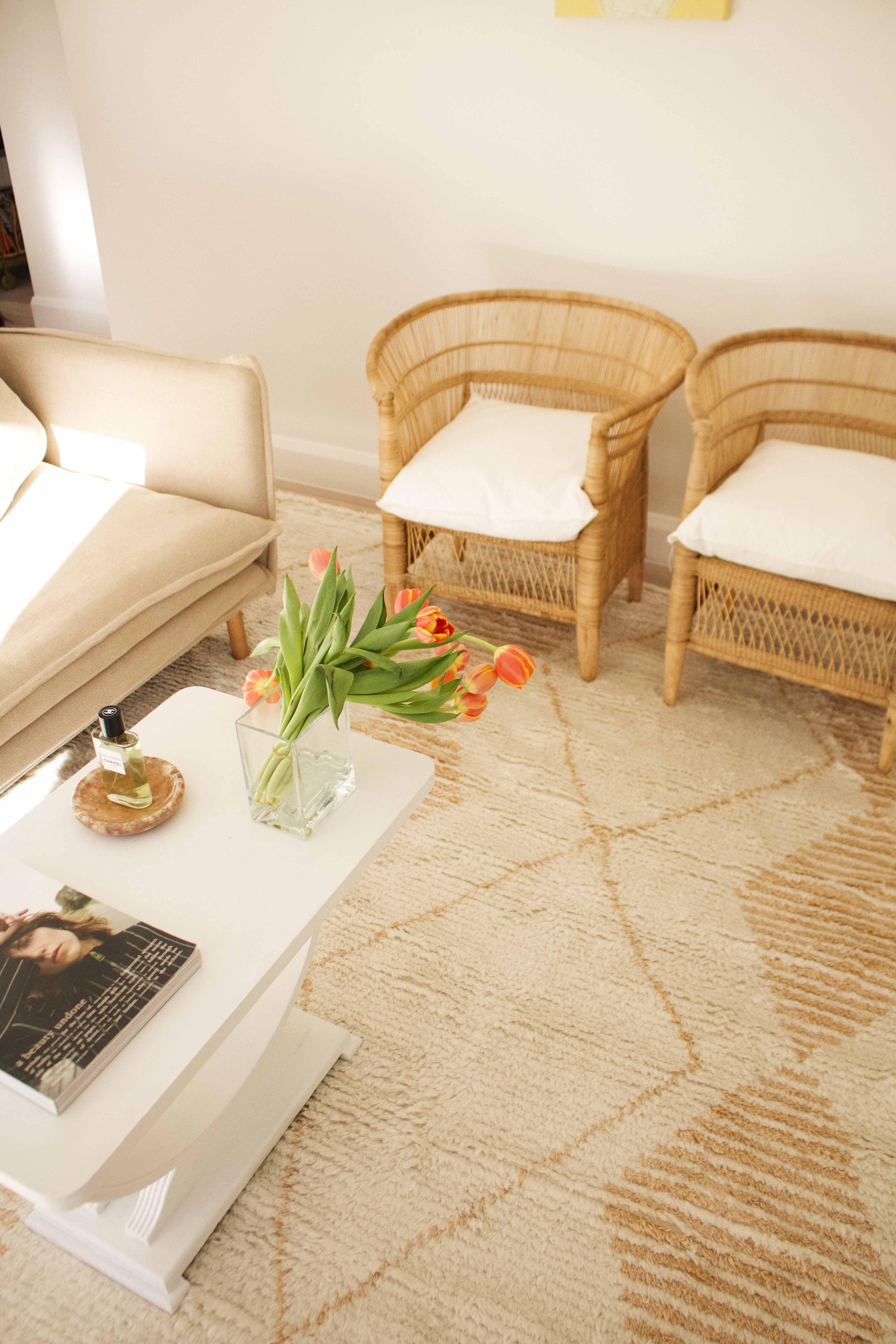 Frankie Ivory and Beige Tribal P.E.T Rug - Image 4