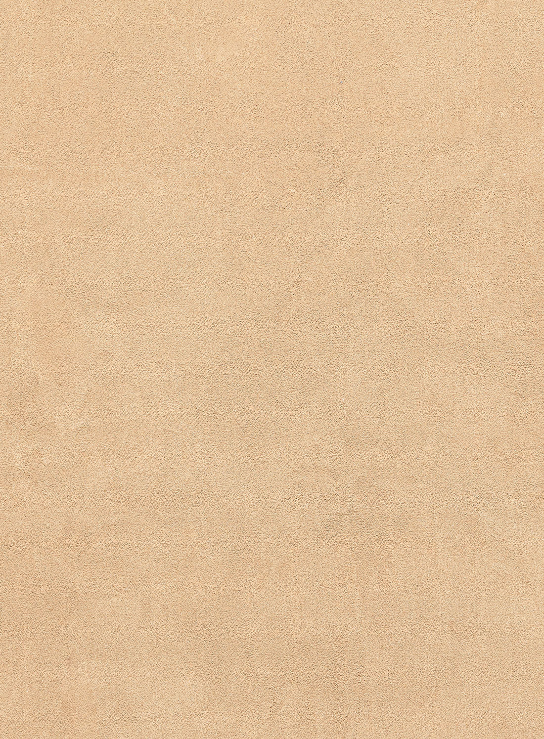 Gerri Brown Scallop Washable Rug - Image 8