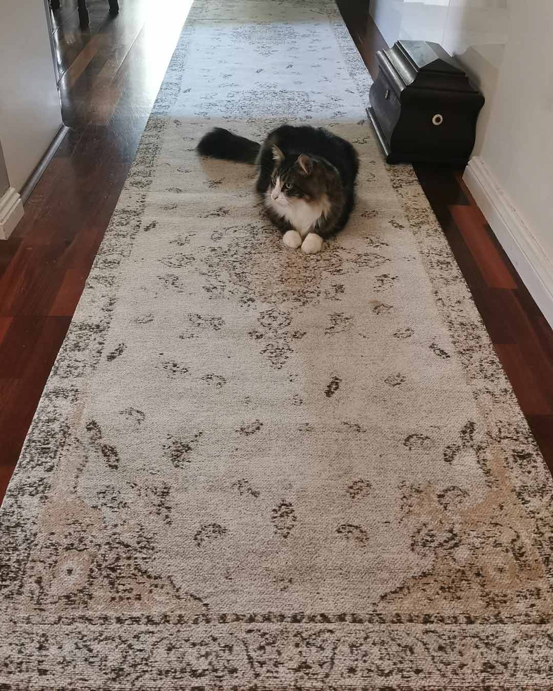 Helena White and Peach Turkish Style Distressed Runner Rug - Image 2