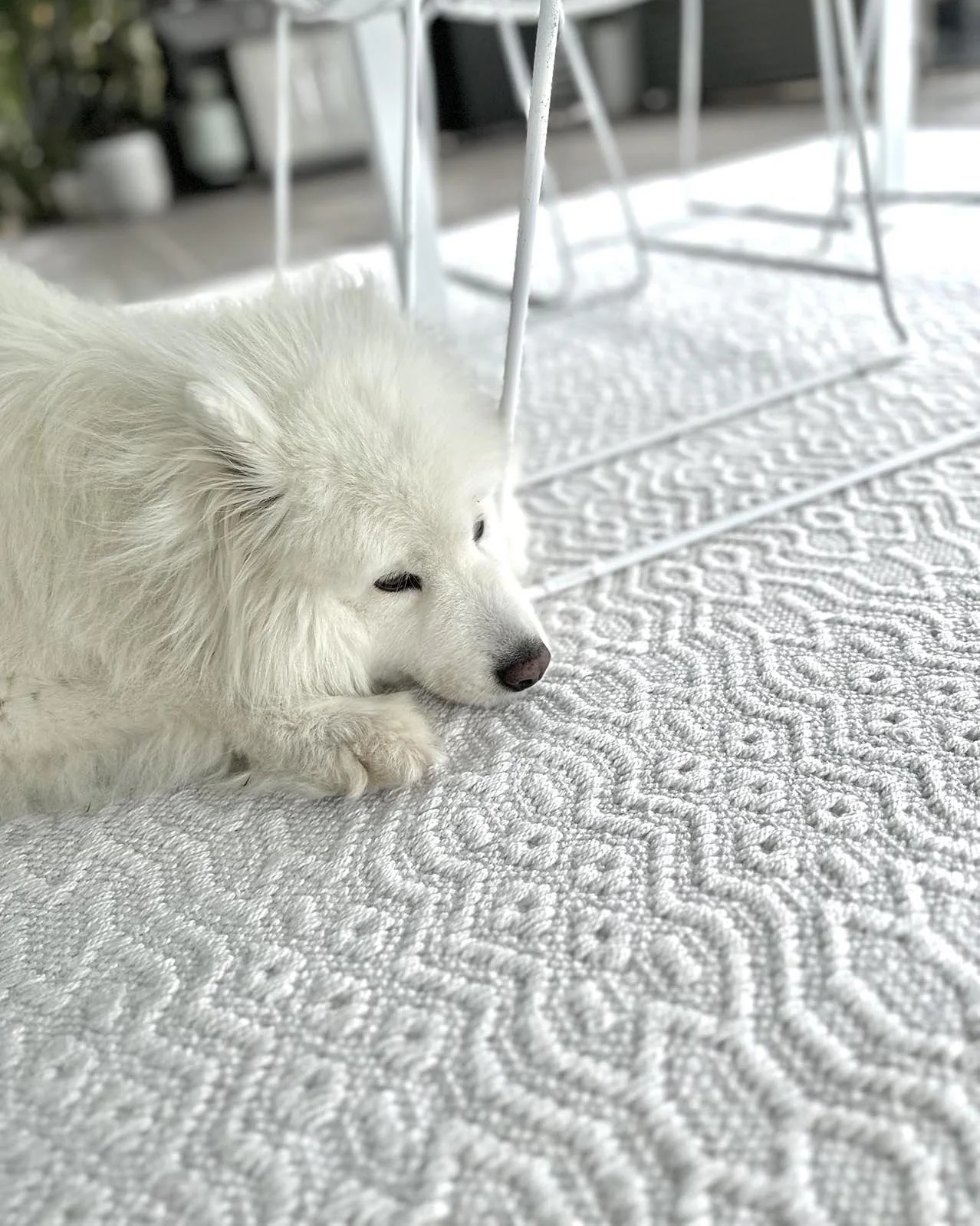 Ivy Ivory Indoor Outdoor P.E.T Rug - Image 6