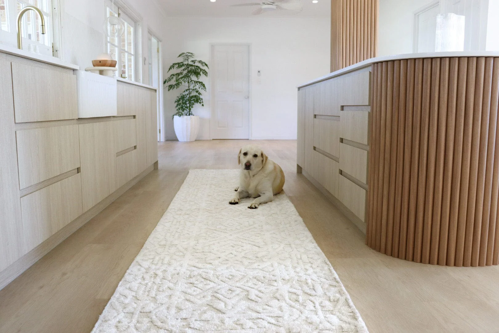 Josephine Ivory and Cream Tribal Transitional Runner Rug - Image 6