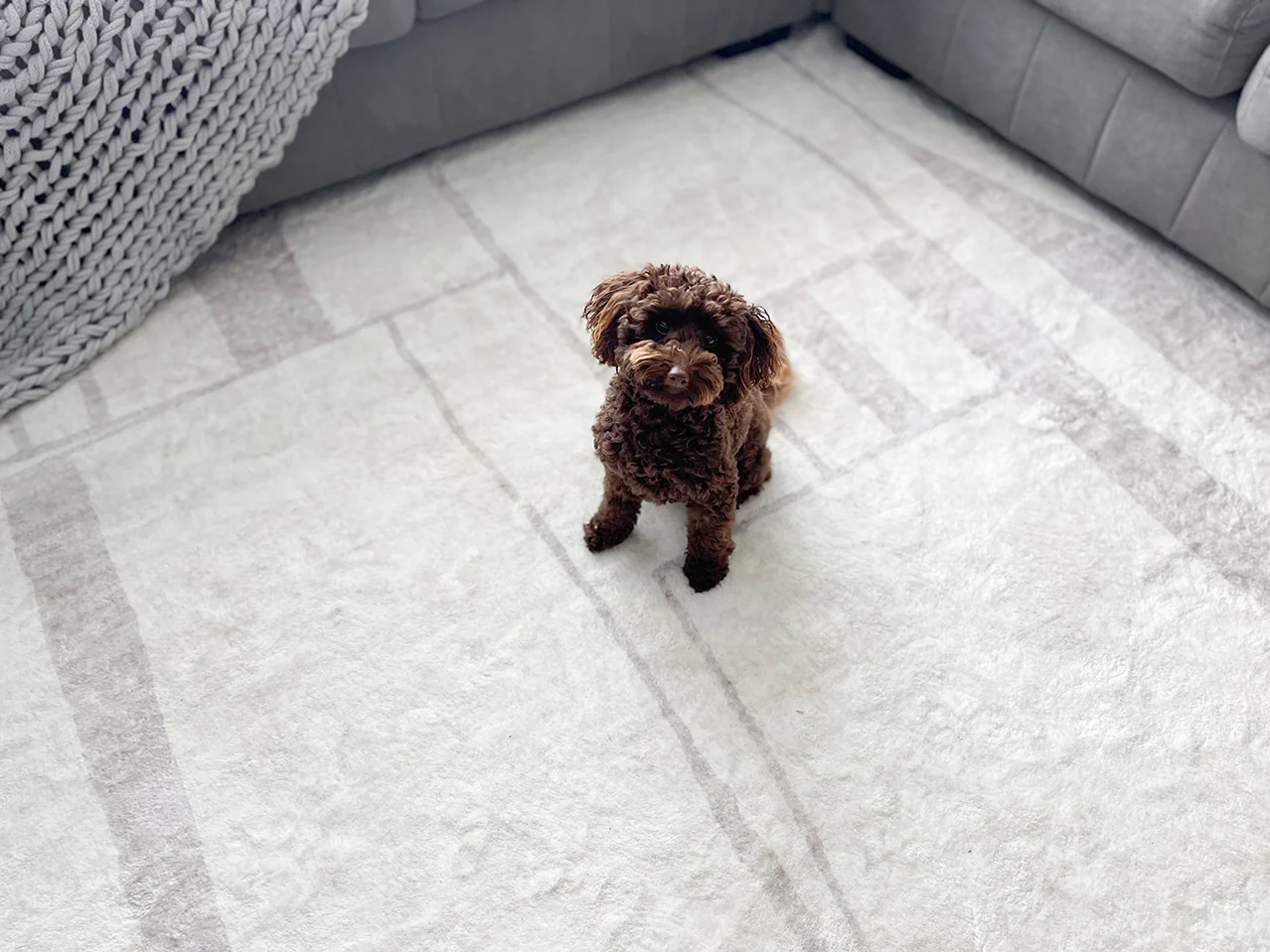 Kaliko Beige Abstract Pattern Washable Rug - Image 6
