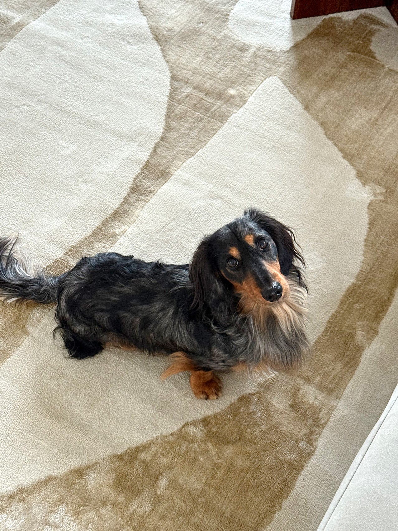 Kallua Textured Abstract Neutral Rug - Image 4