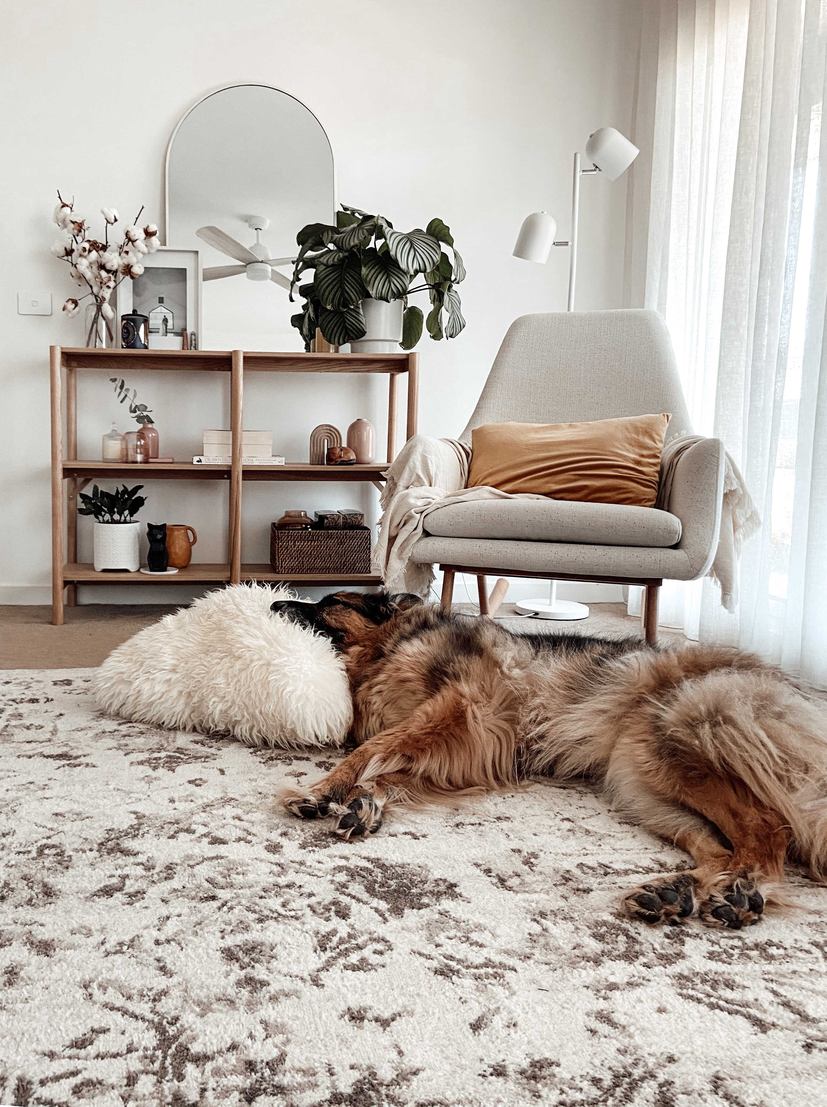 Liliana Cream And Brown Traditional Distressed Floral Rug - Image 11