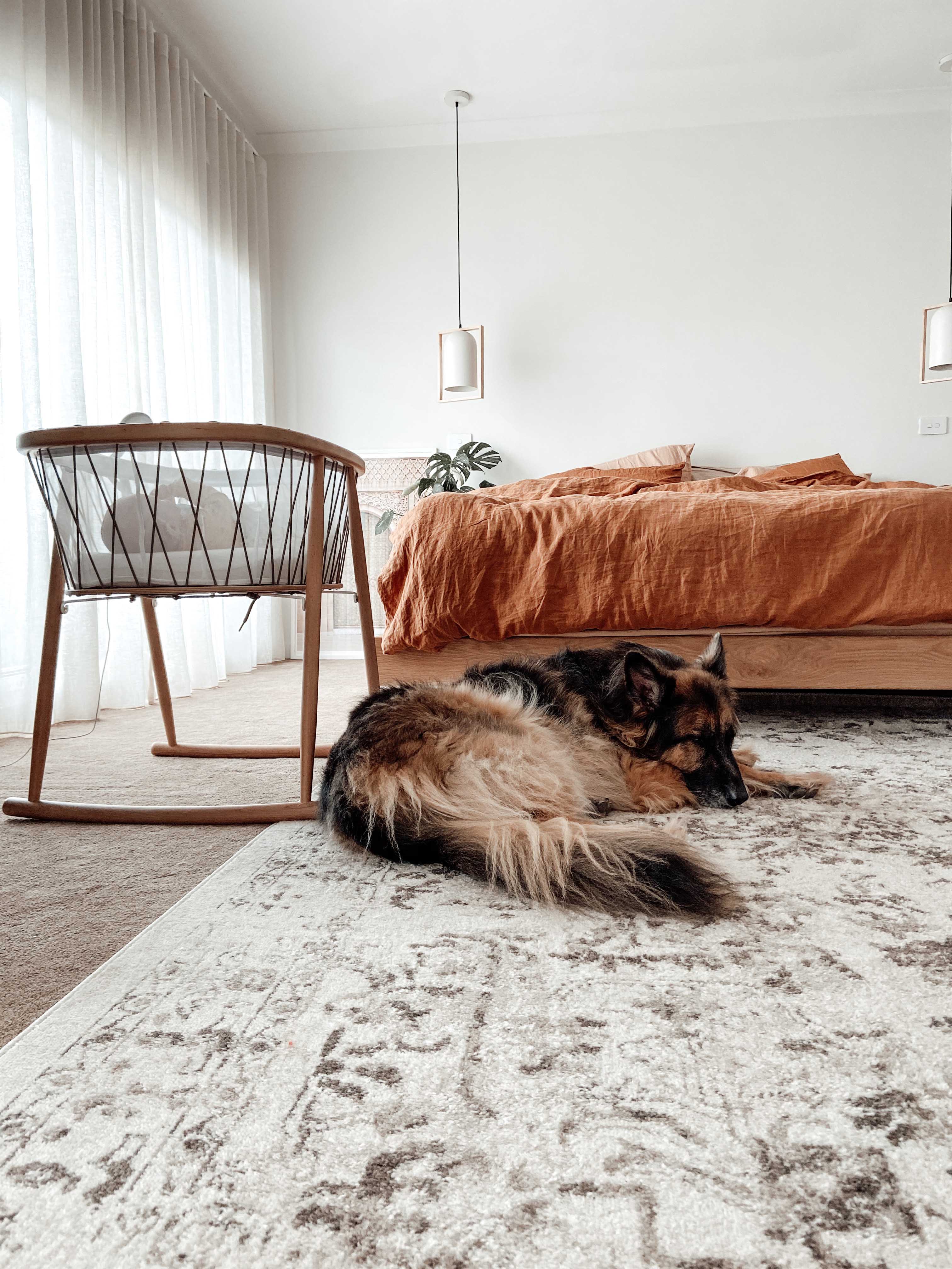 Liliana Cream And Brown Traditional Distressed Floral Rug - Image 9