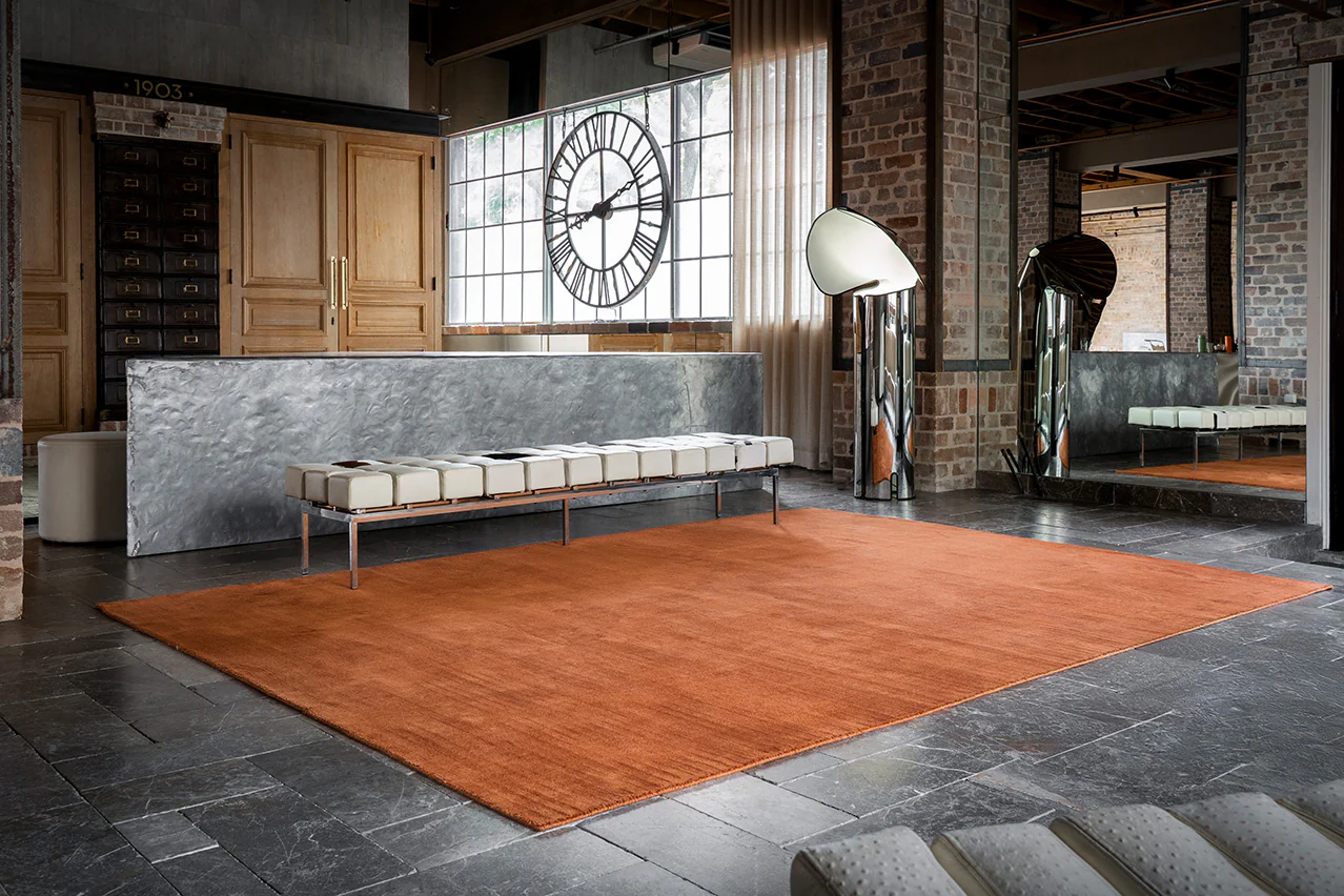 Lupe Terracotta Handwoven Rug - Image 4