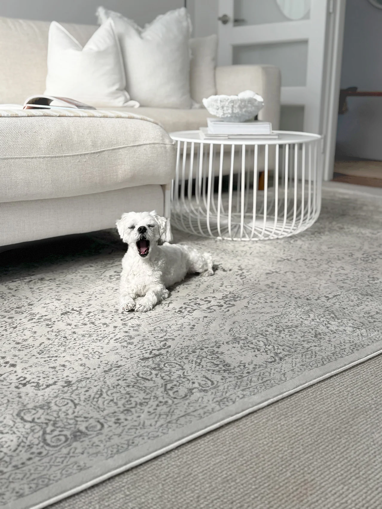 Madison Ivory And Grey Traditional Distressed Rug - Image 12