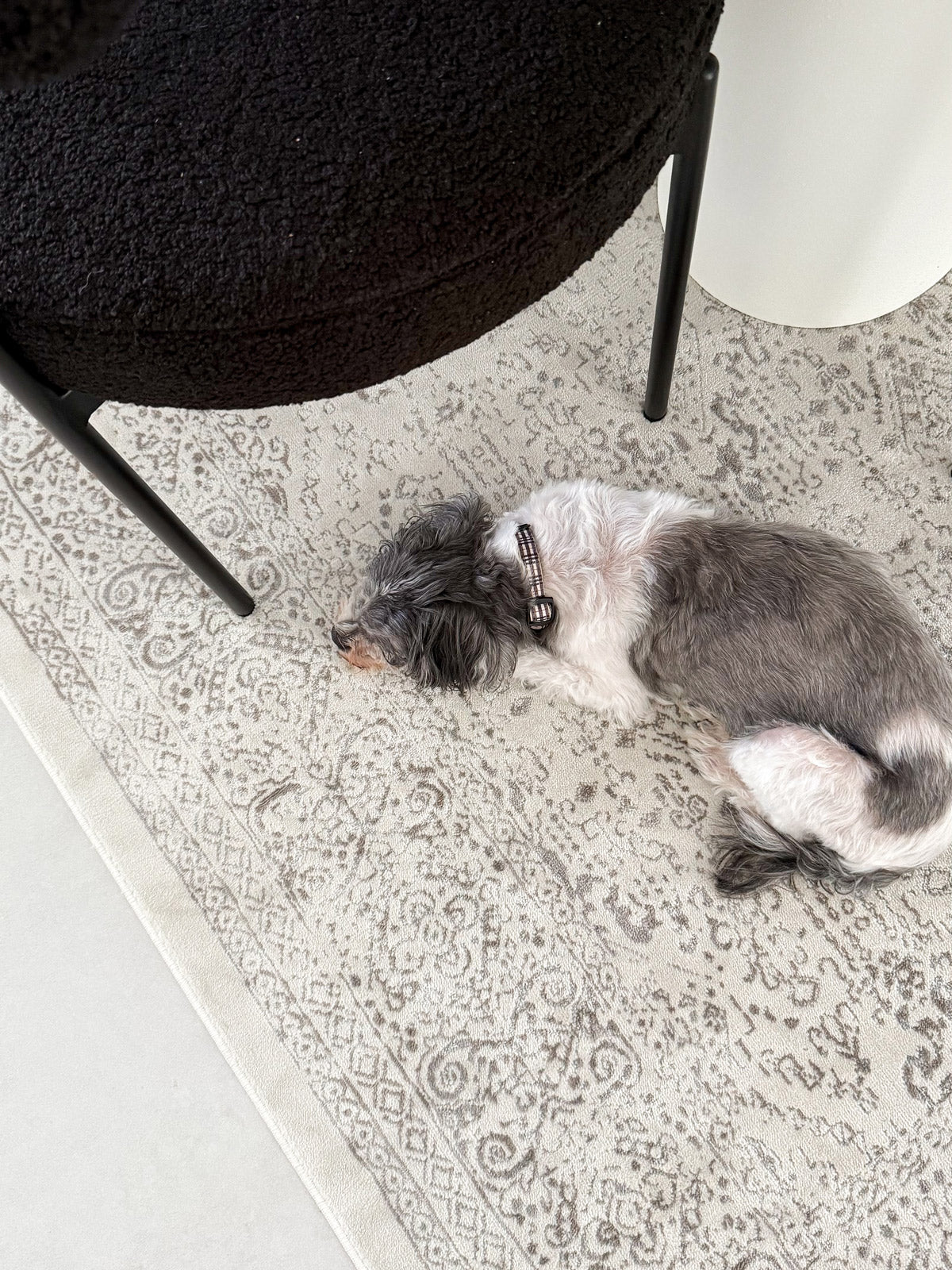 Madison Ivory And Grey Traditional Distressed Rug - Image 4