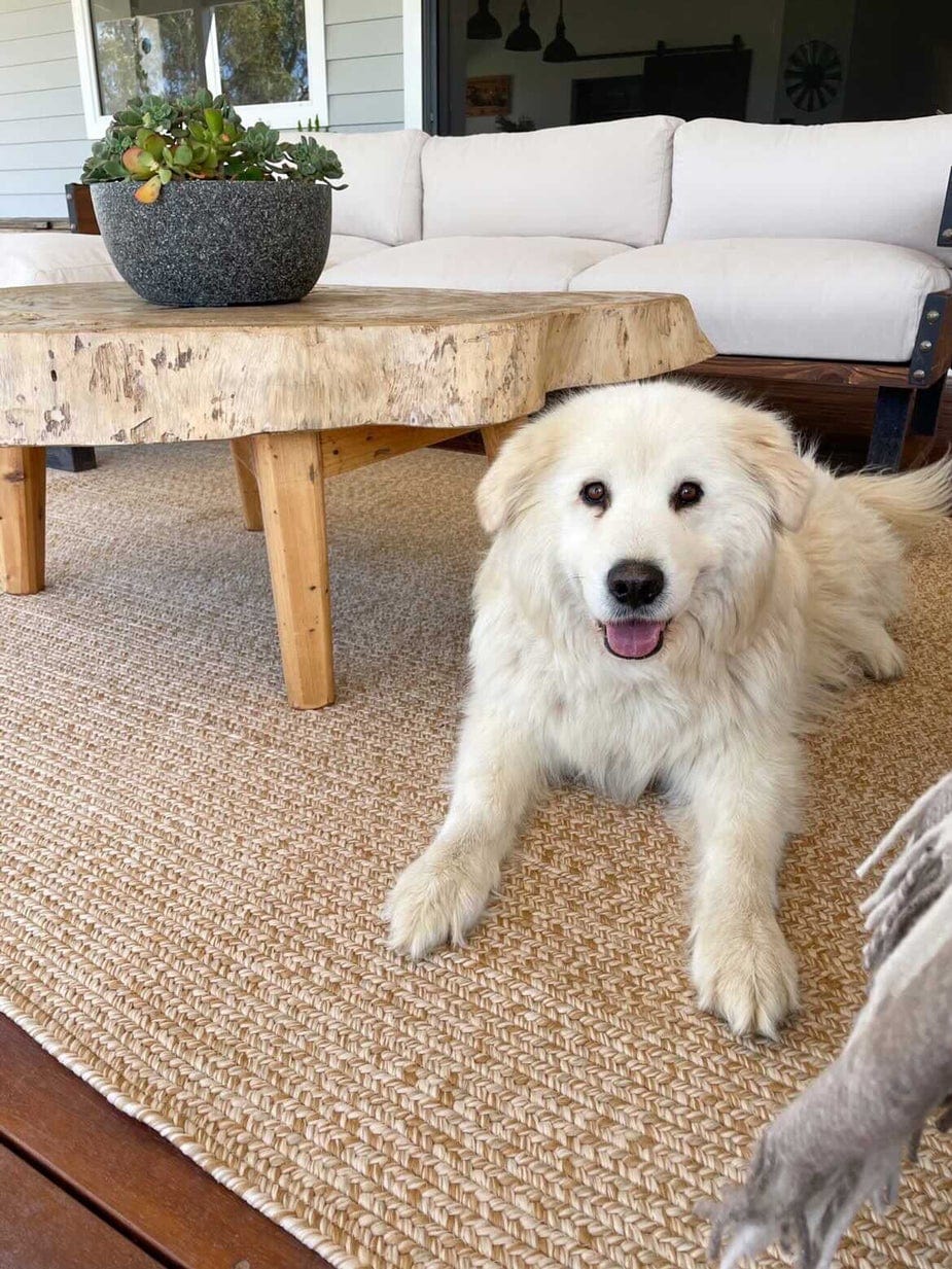 Malia Beige Braided Flatweave Indoor Outdoor Rug - Image 3