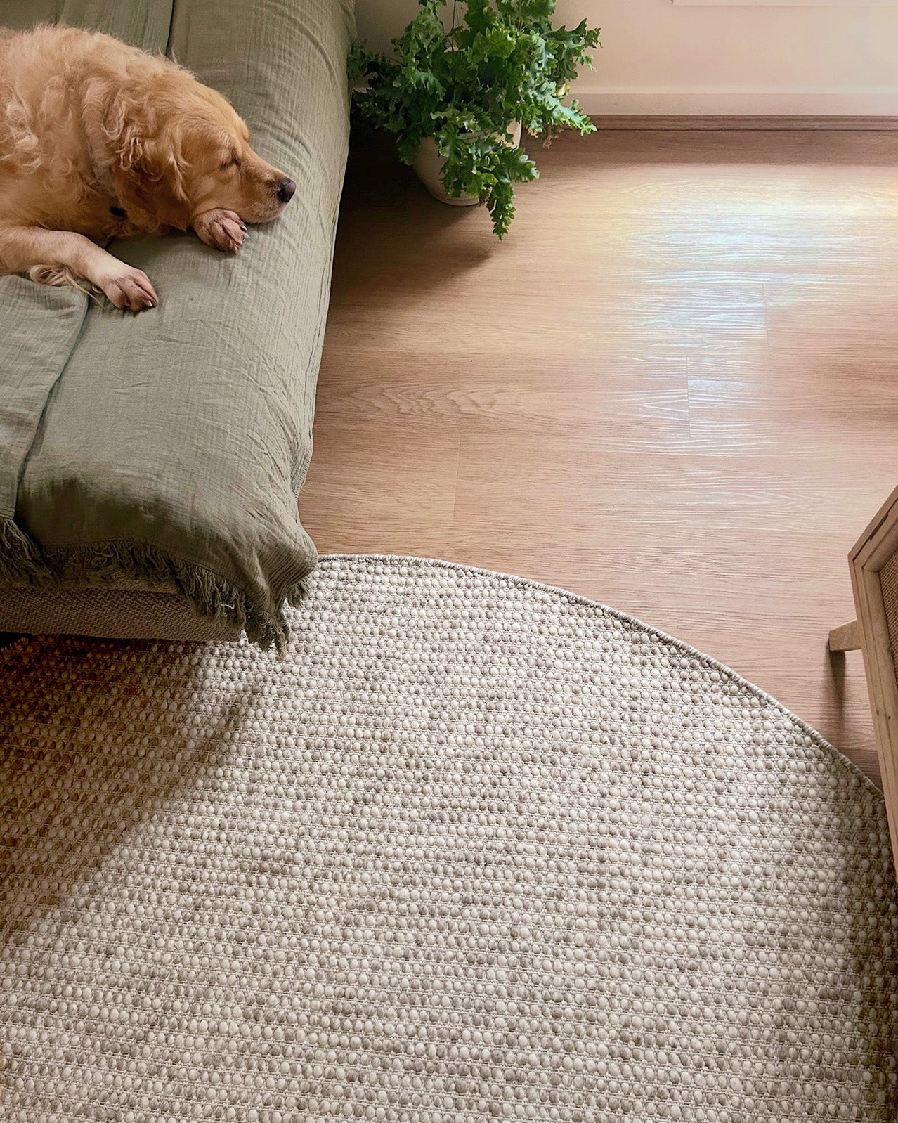 Mallory Marbled Cream and Grey Chunky Wool Round Rug - Image 5