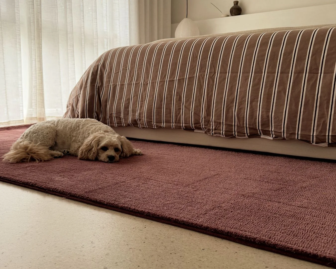 Medora Red Shag Rug - Image 6