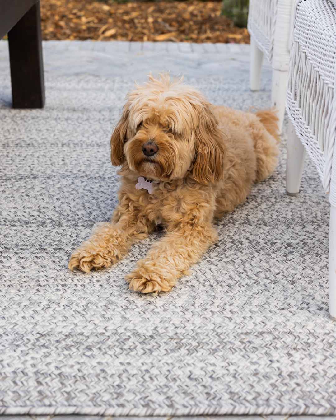 Mika Grey Braided Flatweave Indoor Outdoor Rug - Image 9