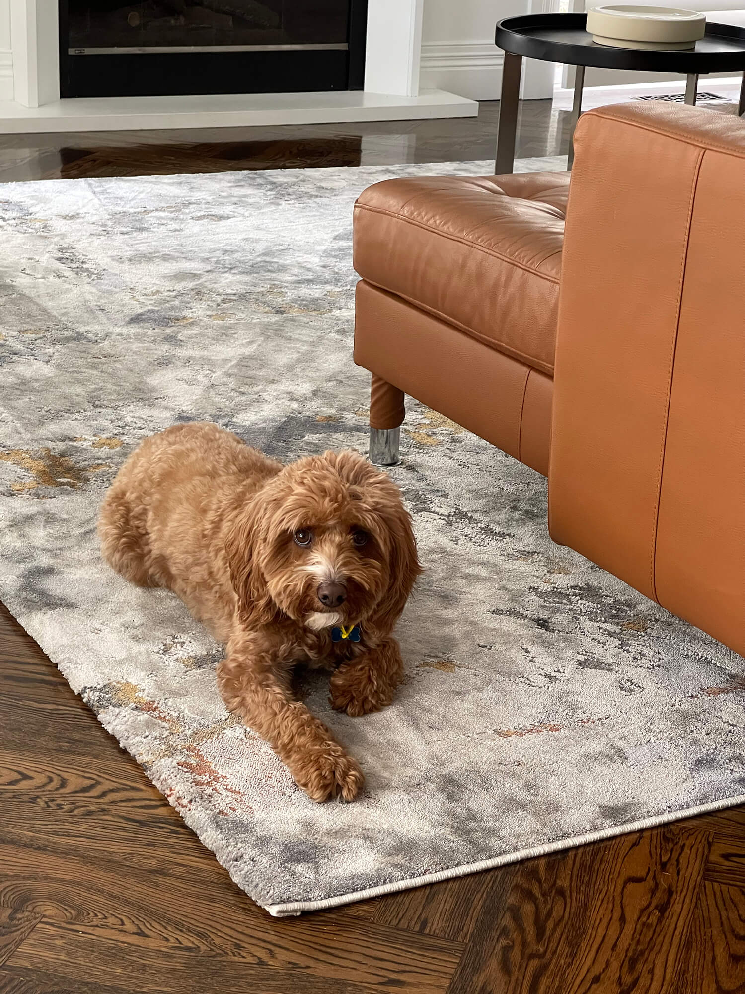Neve Blue Grey and Bronze Transitional Motif Rug - Image 6