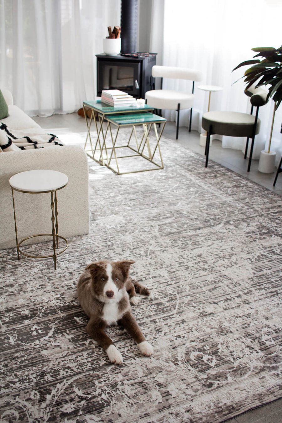 Raina Charcoal Grey And Ivory Traditional Distressed Rug - Image 5