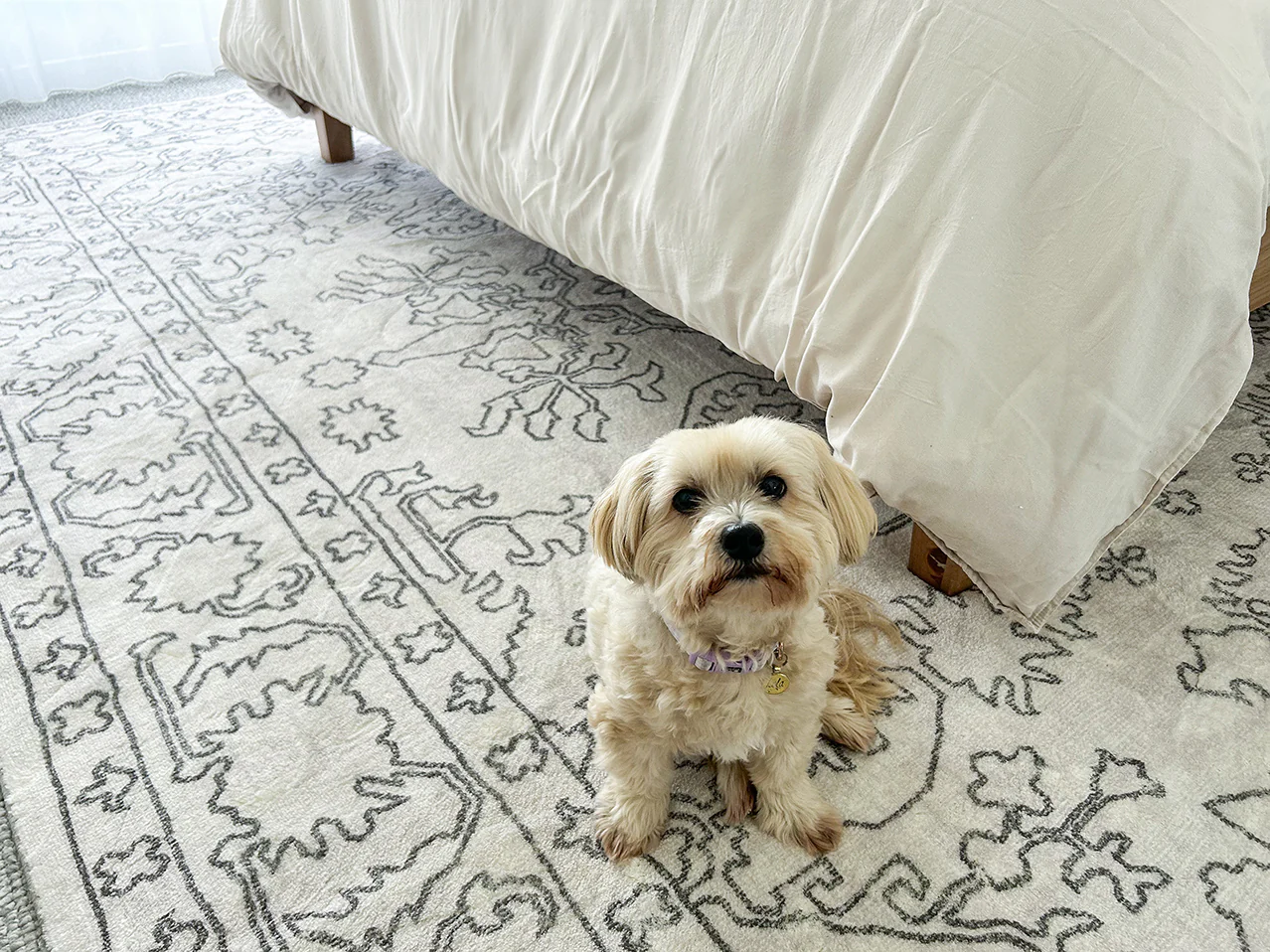 Rosalie Grey Cream Traditional Distressed Washable Rug - Image 6