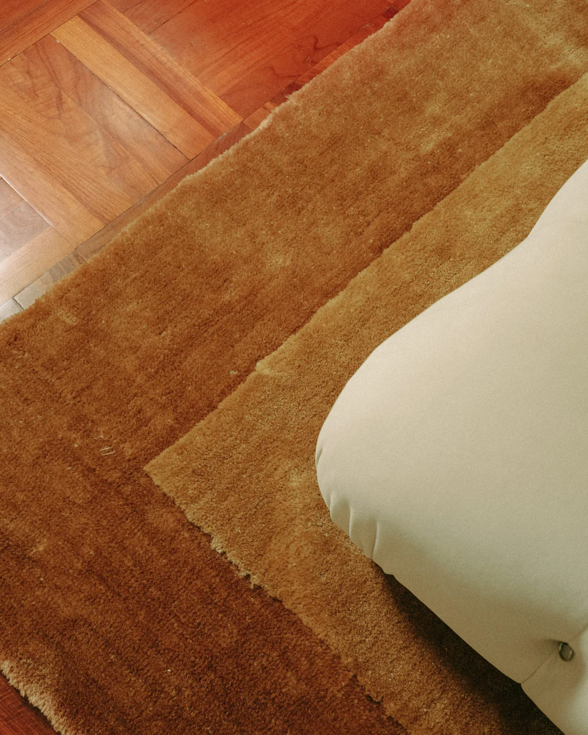 Rozanda Brown Bordered Shag Rug - Image 4