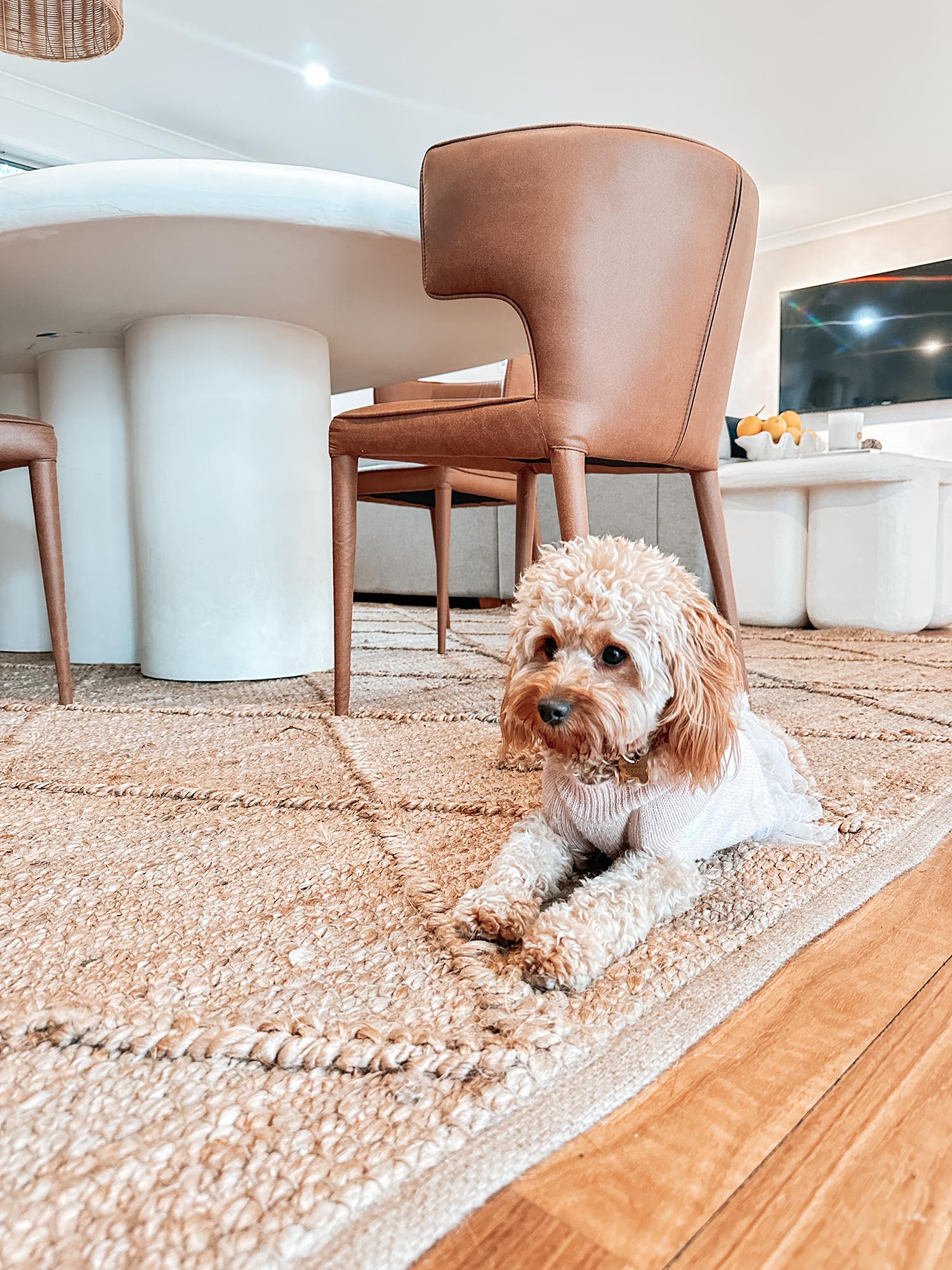 Sabra Diamond Lattice Jute Rug - Image 5