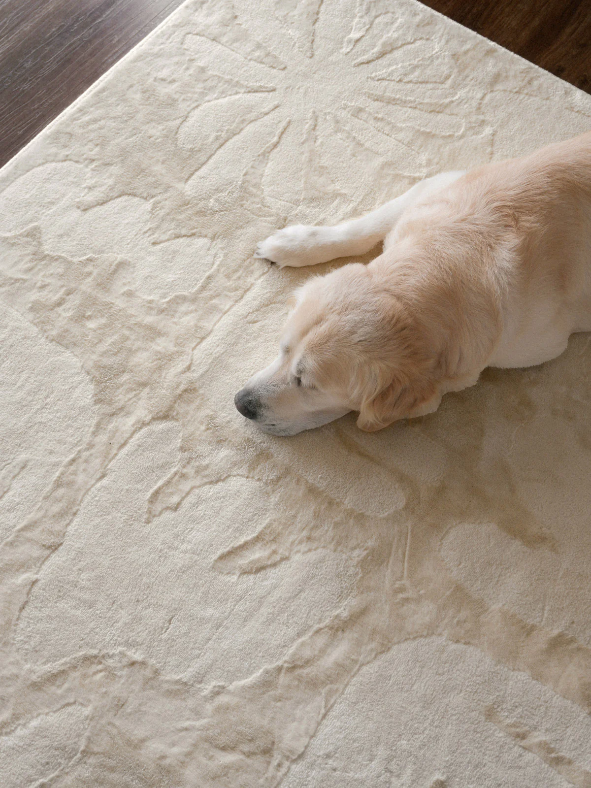 Salah Textured Abstract Neutral Rug - Image 7