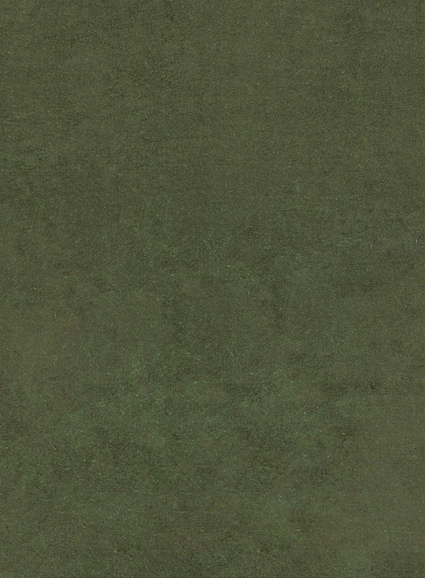 Sandara Olive Scallop Washable Rug - Image 10