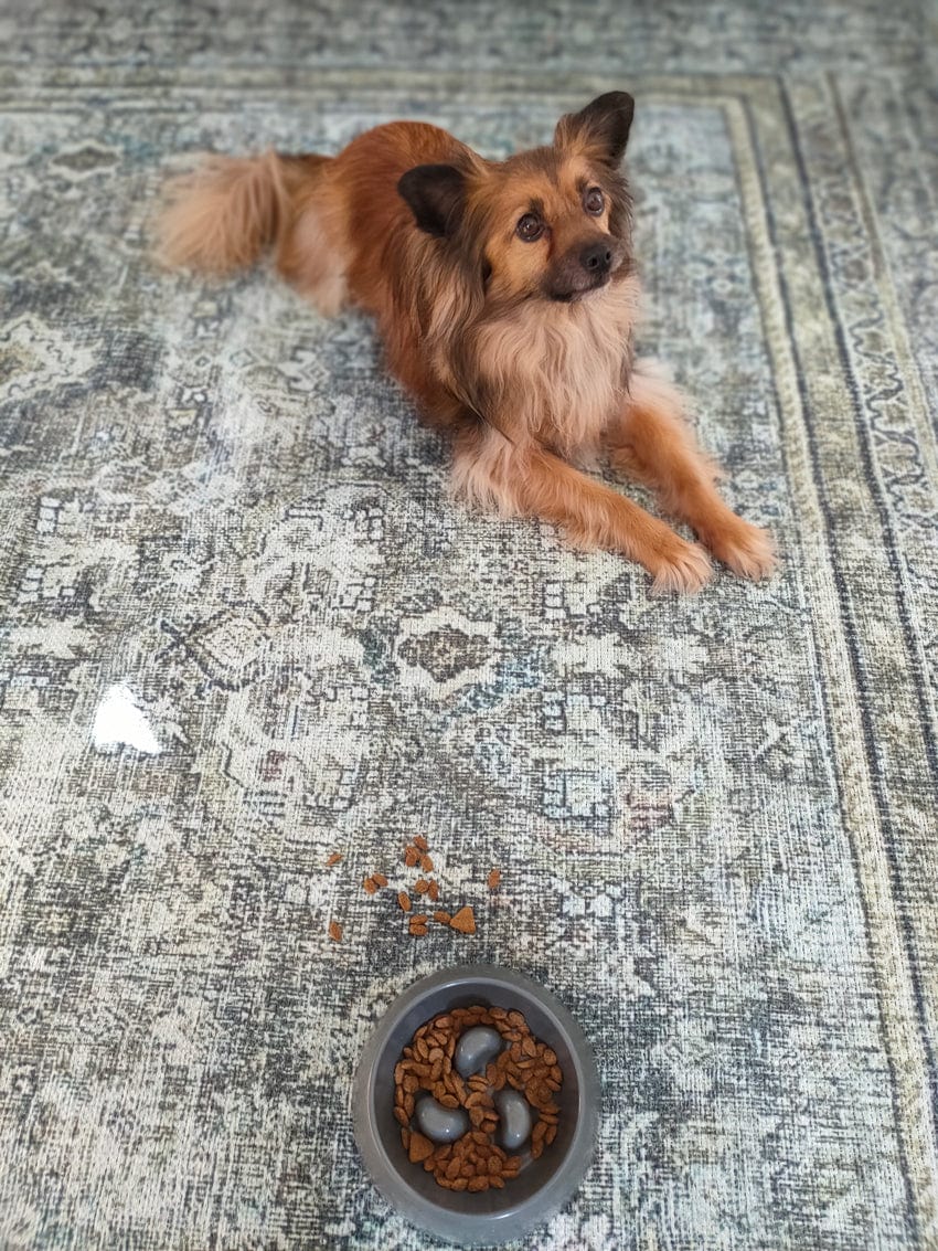Santi Green and Grey Traditional Distressed Washable Rug - Image 7