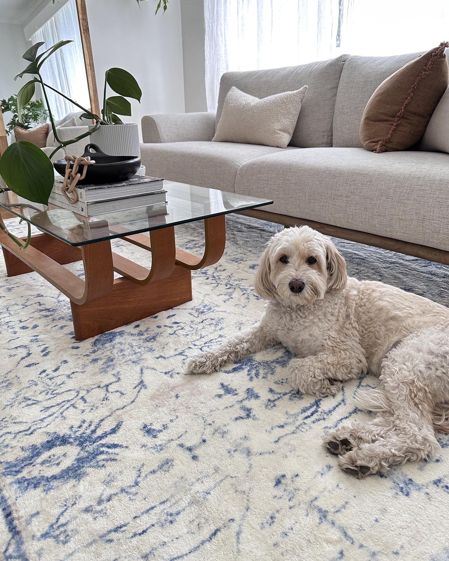 Sarafina Blue and Grey Distressed Washable Rug - Image 12