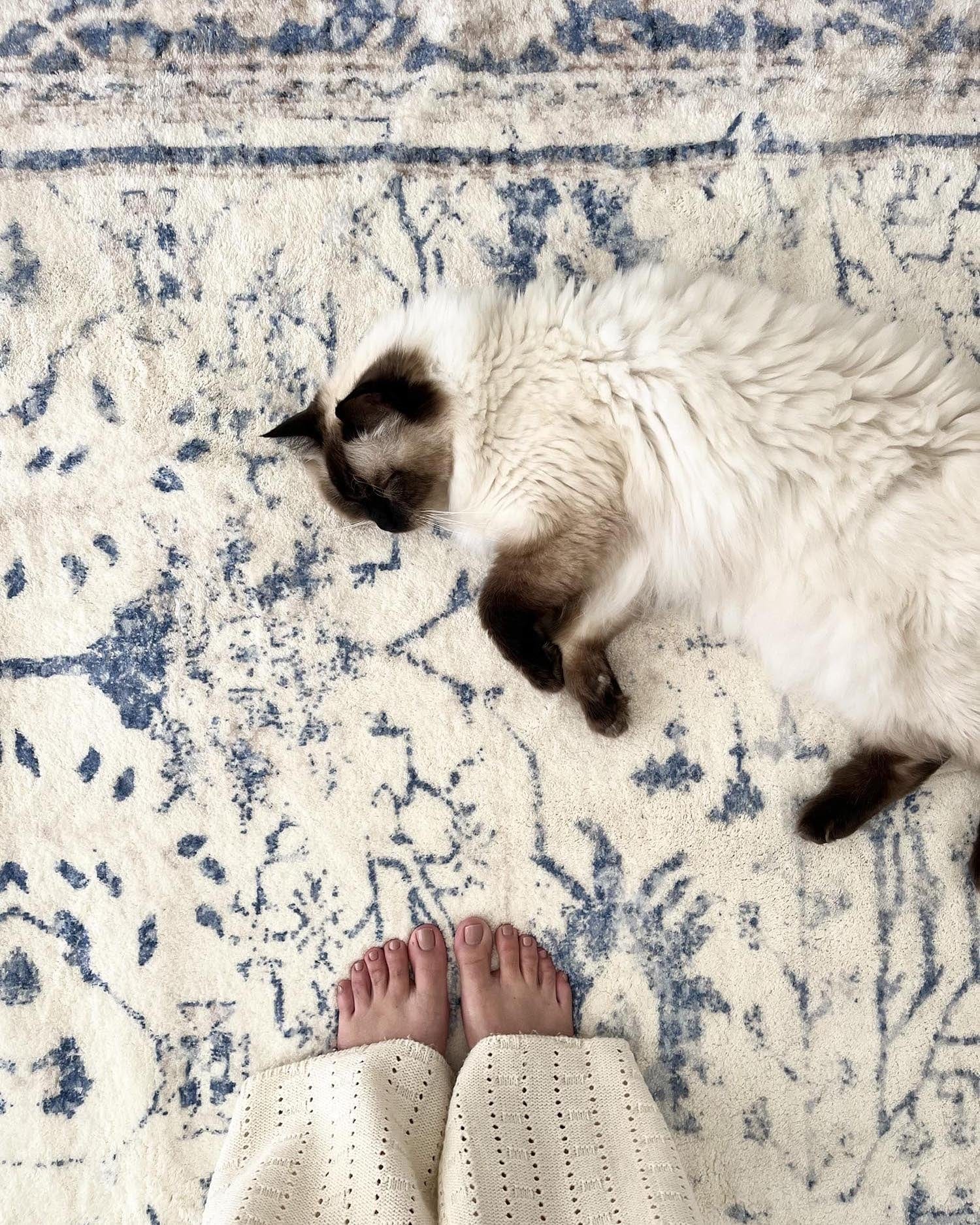 Sarafina Blue and Grey Distressed Washable Rug - Image 8