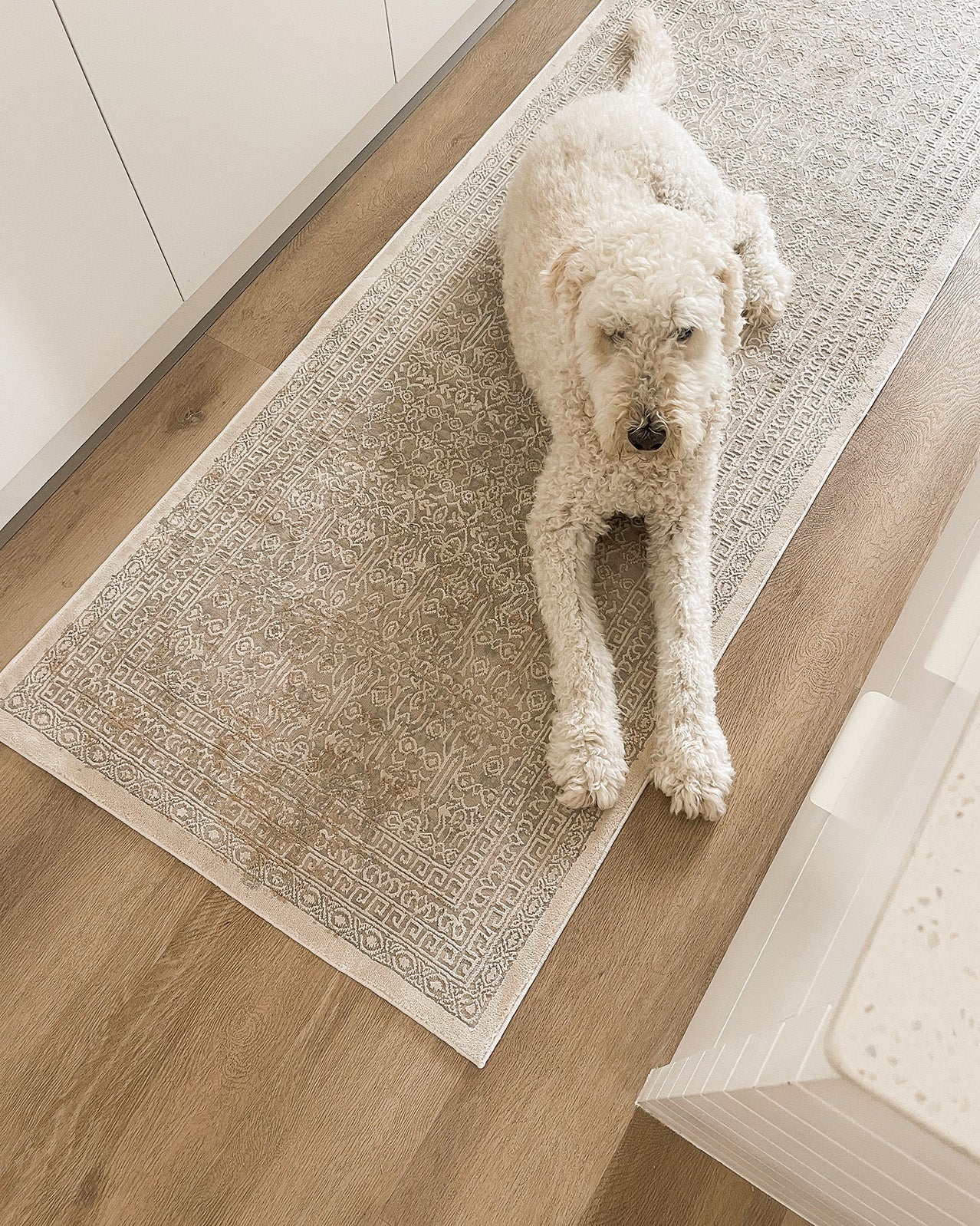 Seda Cream Ivory And Grey Traditional Floral Runner Rug - Image 6