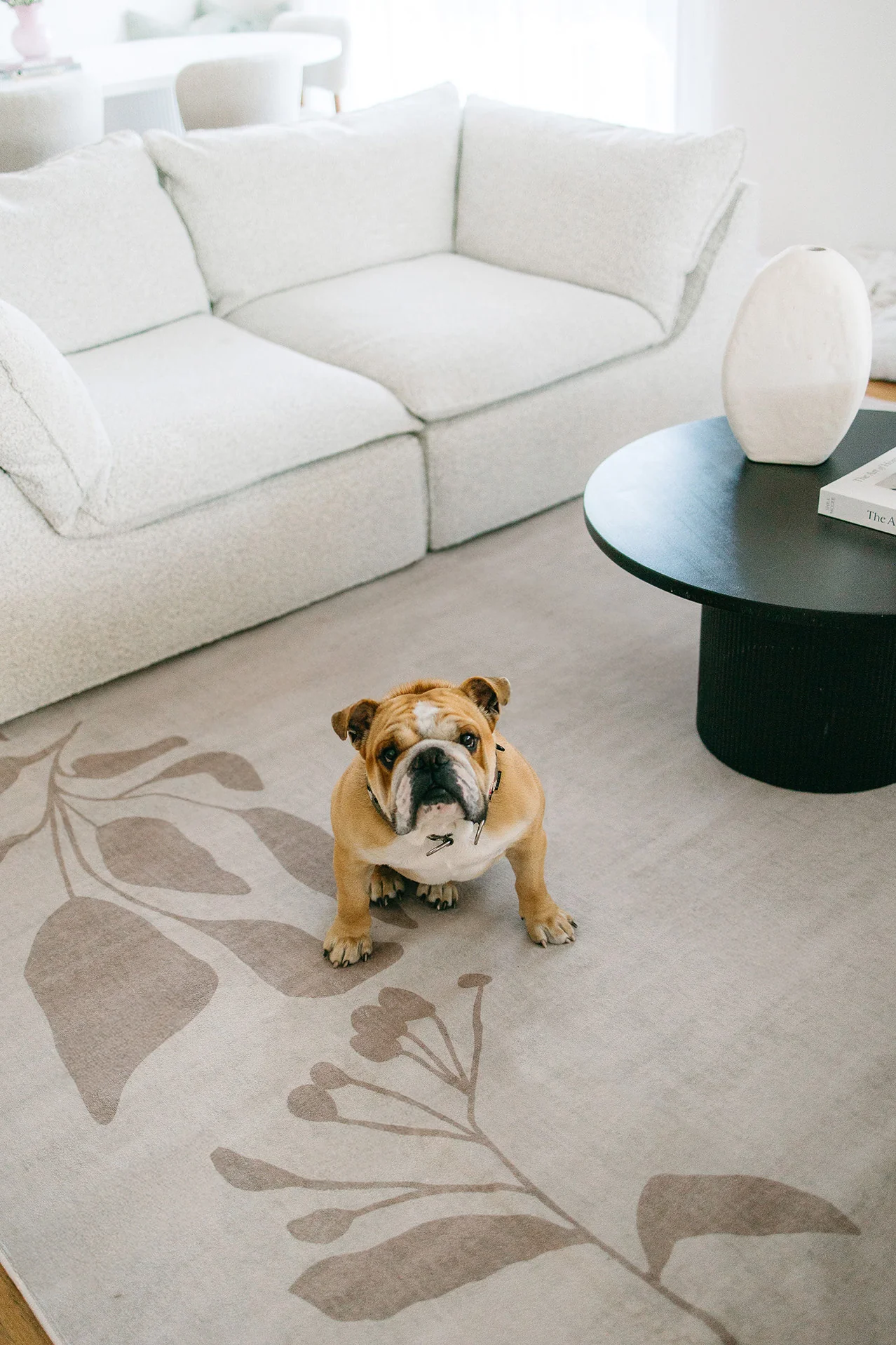 Solange Beige and Brown Botanical Border Washable Rug - Image 4