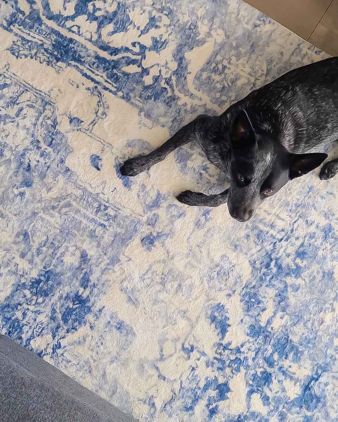 Suri Blue and Grey Distressed Washable Rug - Image 13