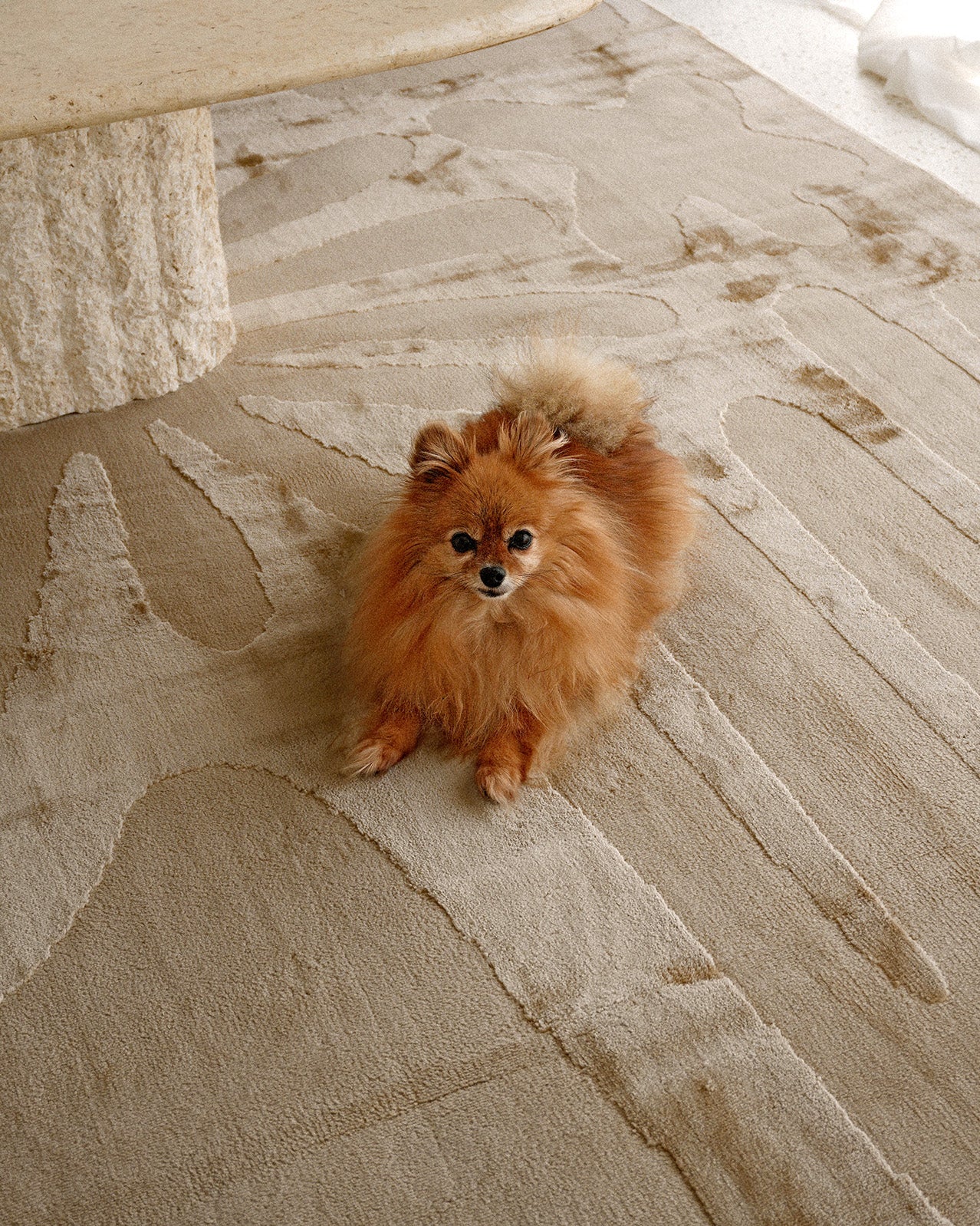 Tann Textured Abstract Neutral Rug - Image 5