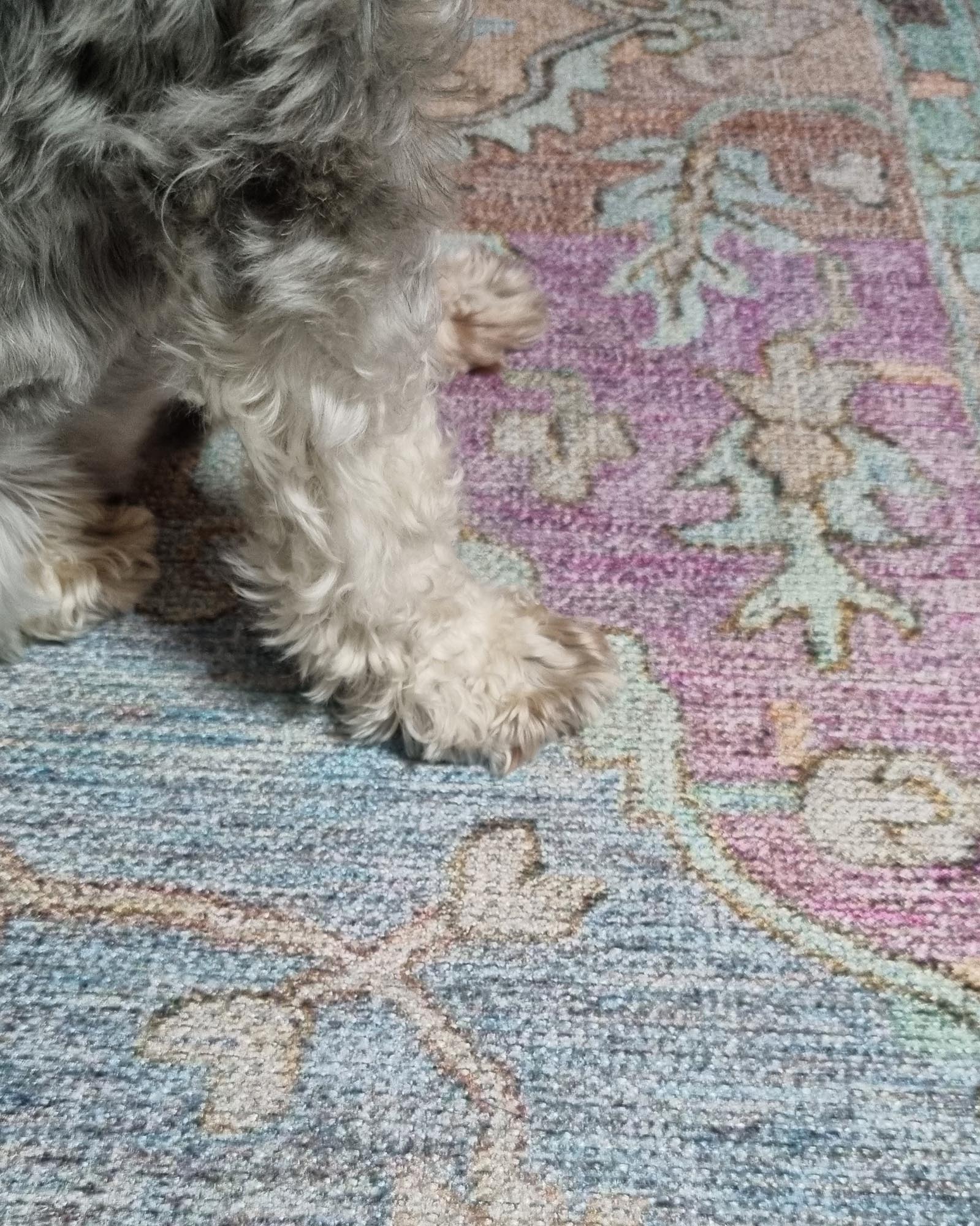 Tavi Blue and Pink Multi-Colour Distressed Washable Rug - Image 5