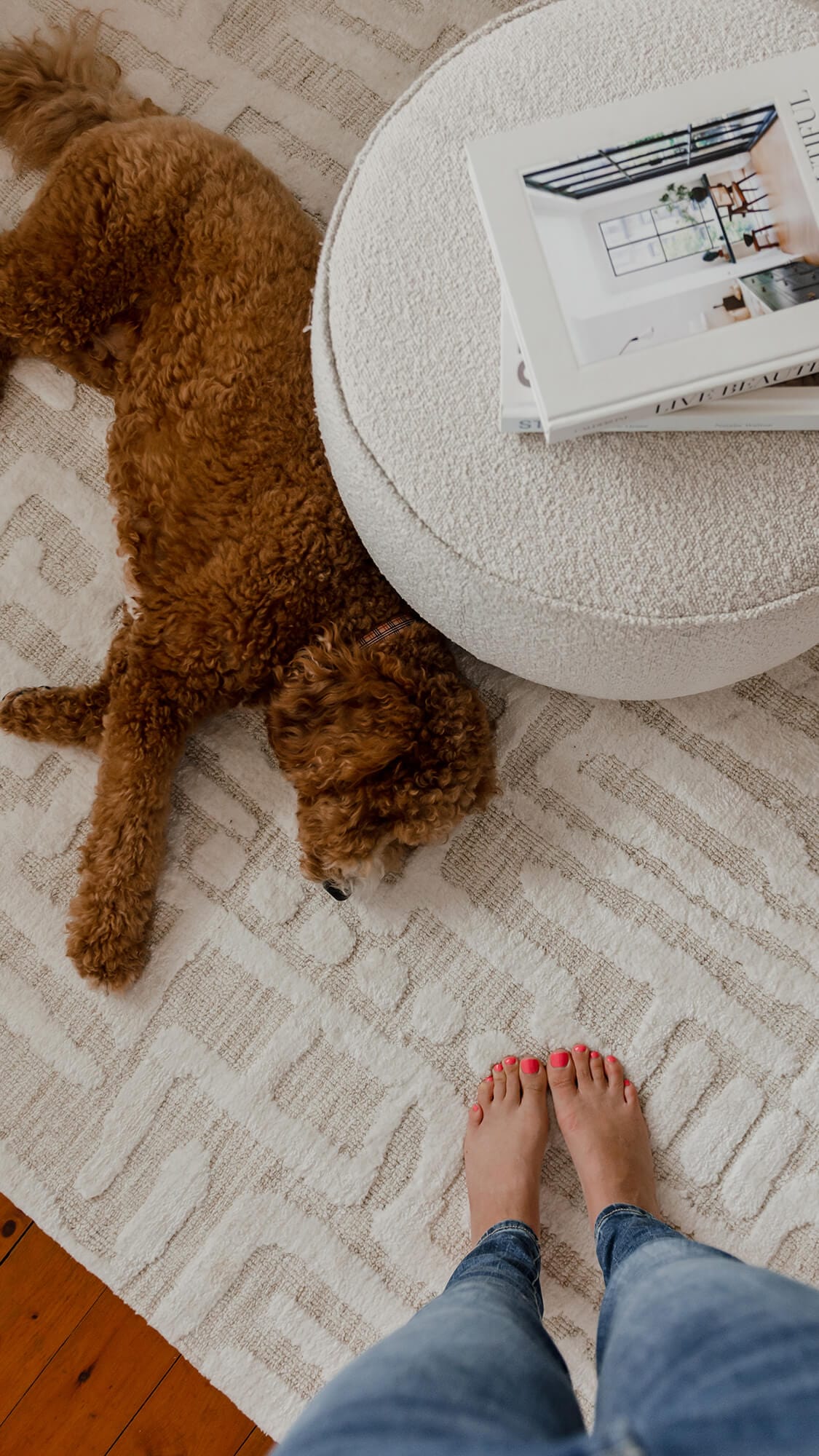 Trissa Beige and Ivory Abstract Tribal Rug - Image 9