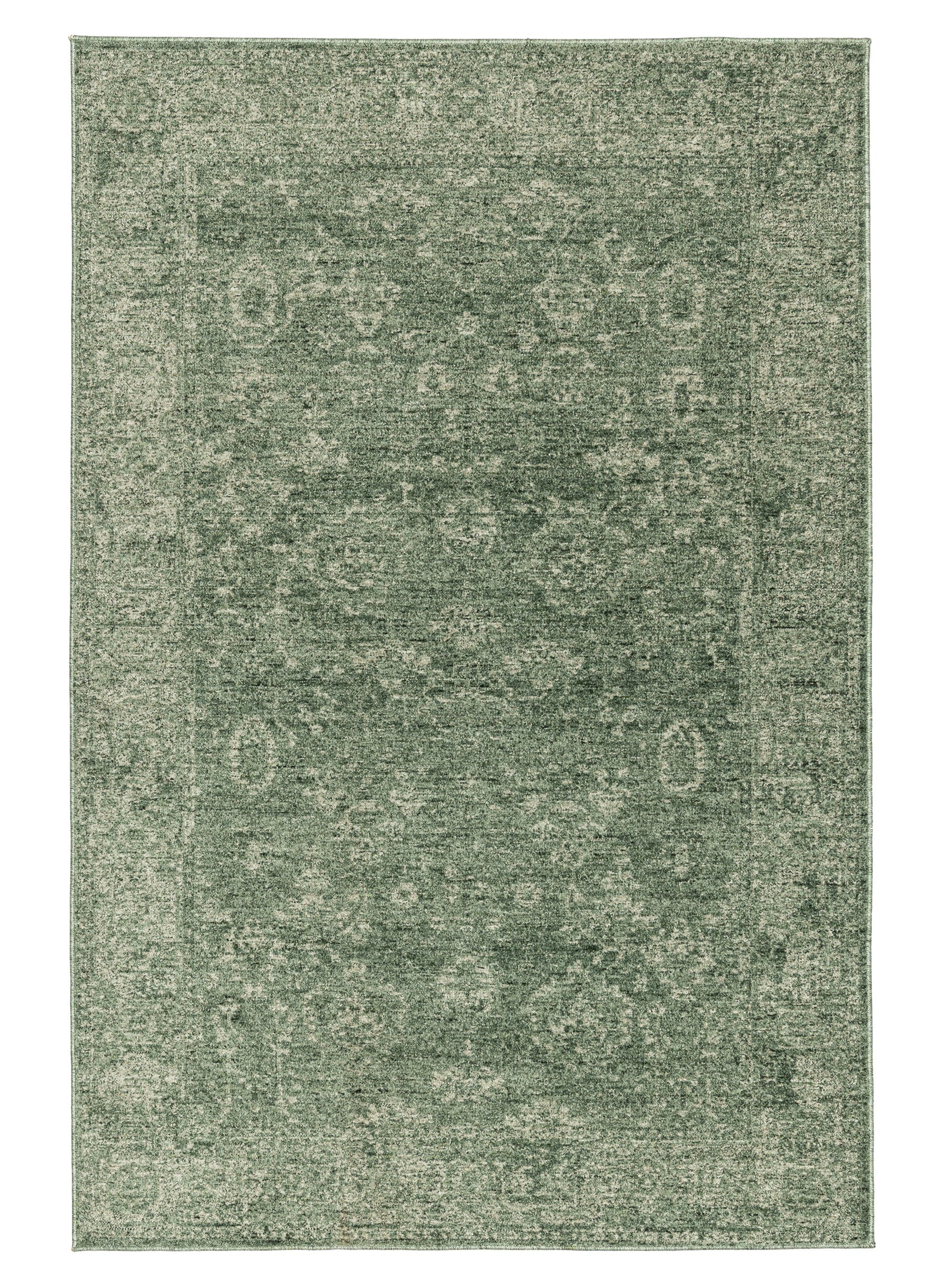 Vinchi Tonal Distressed Green Rug